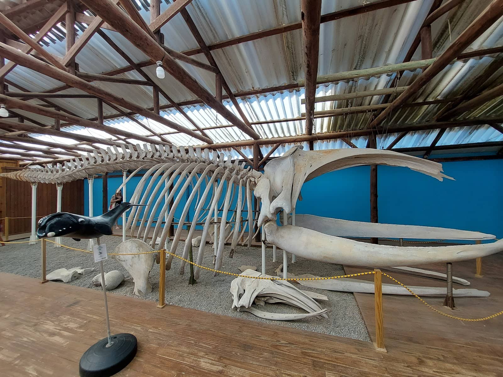 Centro Nacional da Baleia Franca