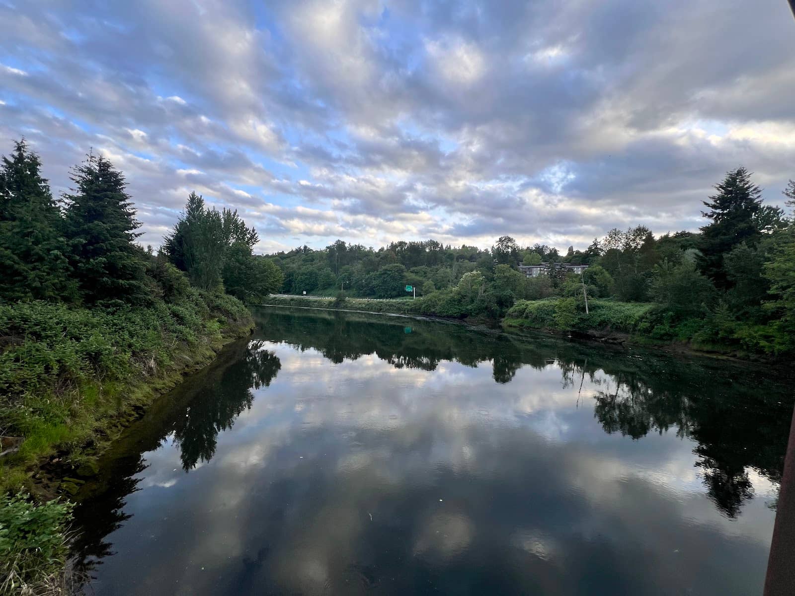 Peaceful Pond