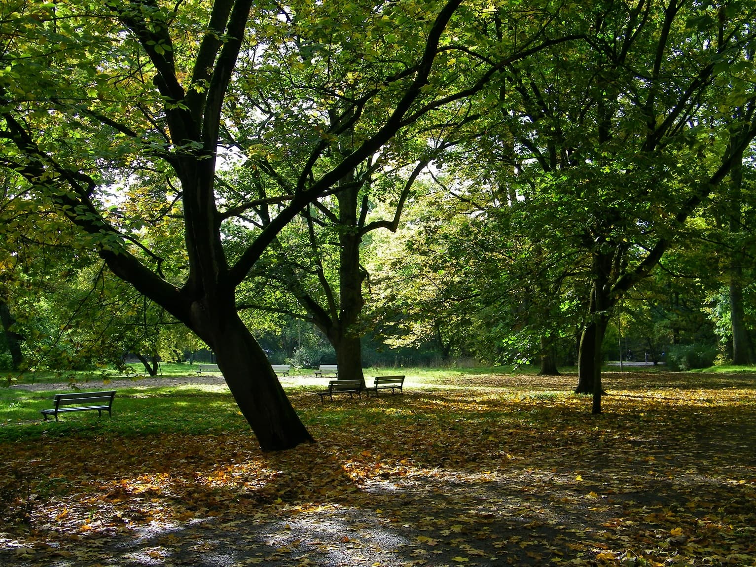 Park Żeromskiego Szczecin - Image 1