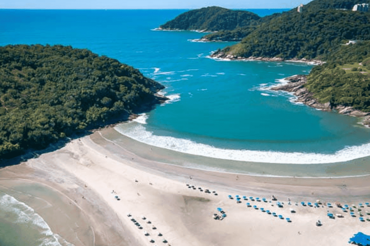 Ilhote do Mar Casado - Image 1