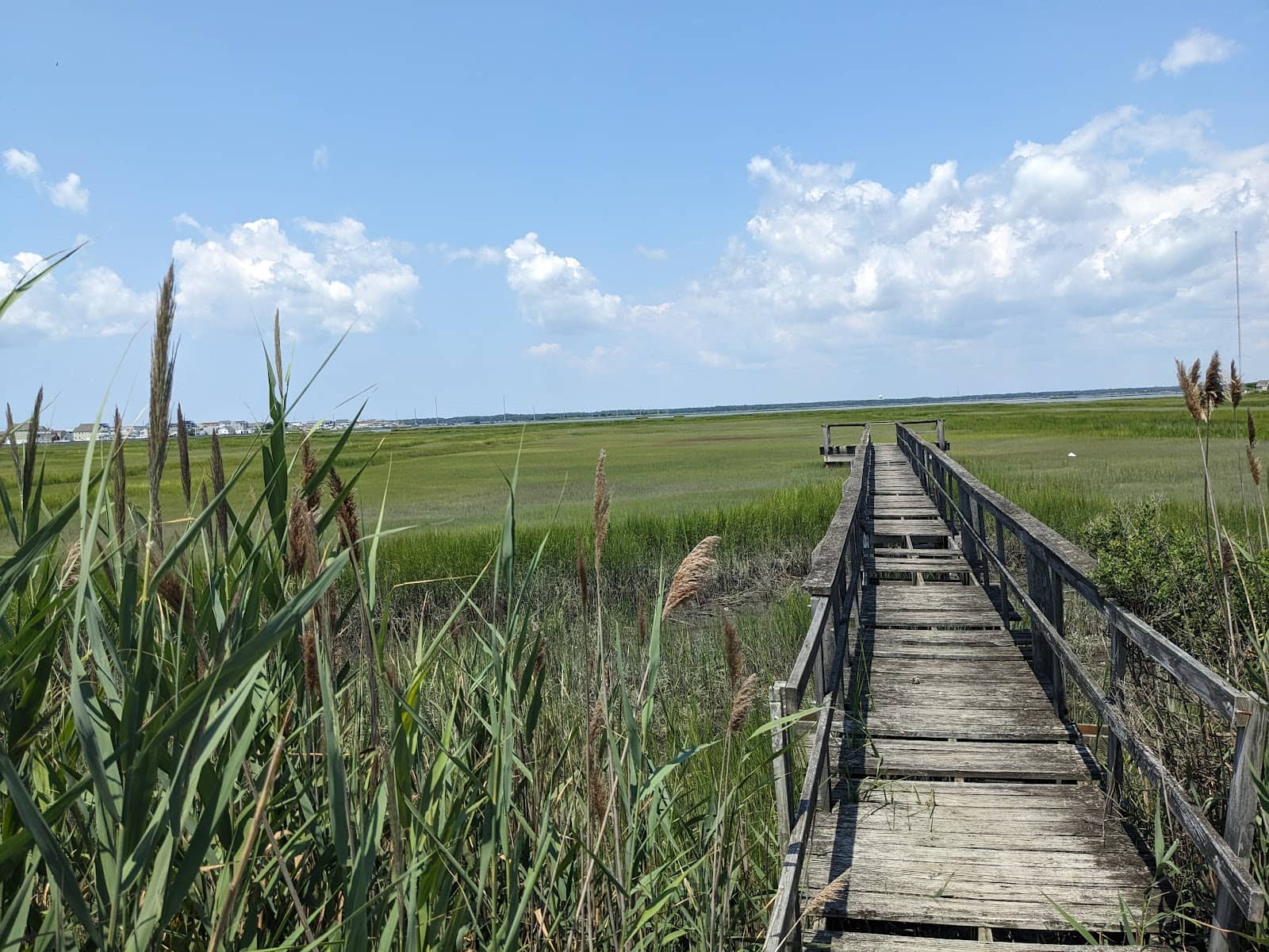 Marsh Boardwalk