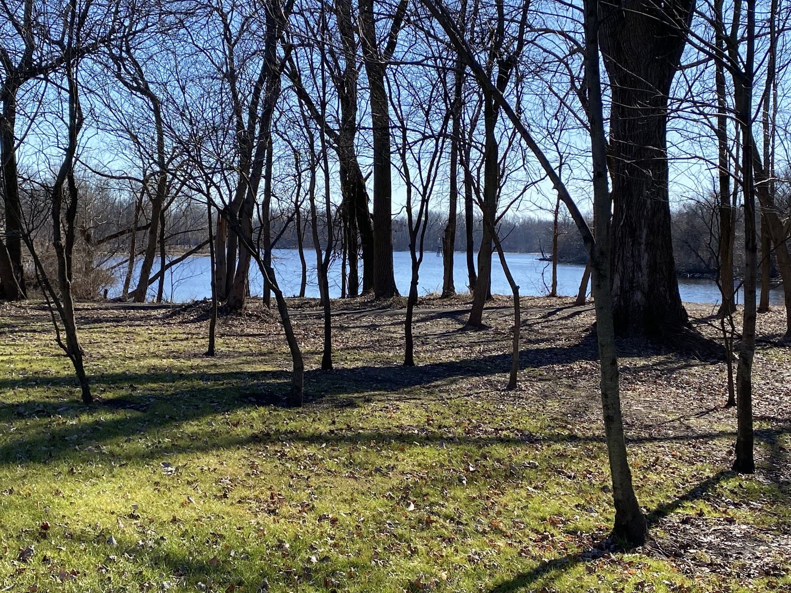 Bristol Marsh Nature Preserve - Image 1