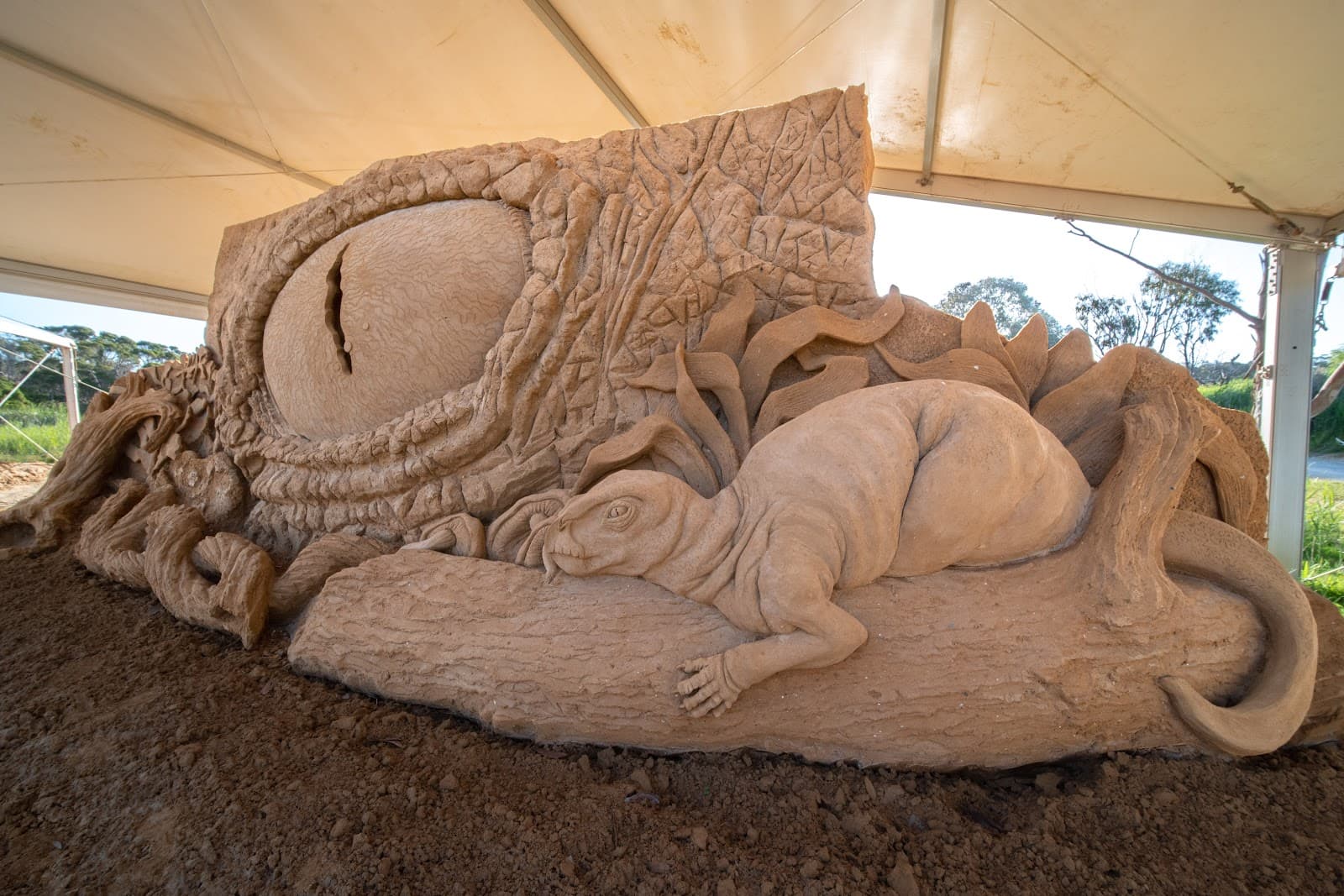 Boneo Discovery Park - Image 1