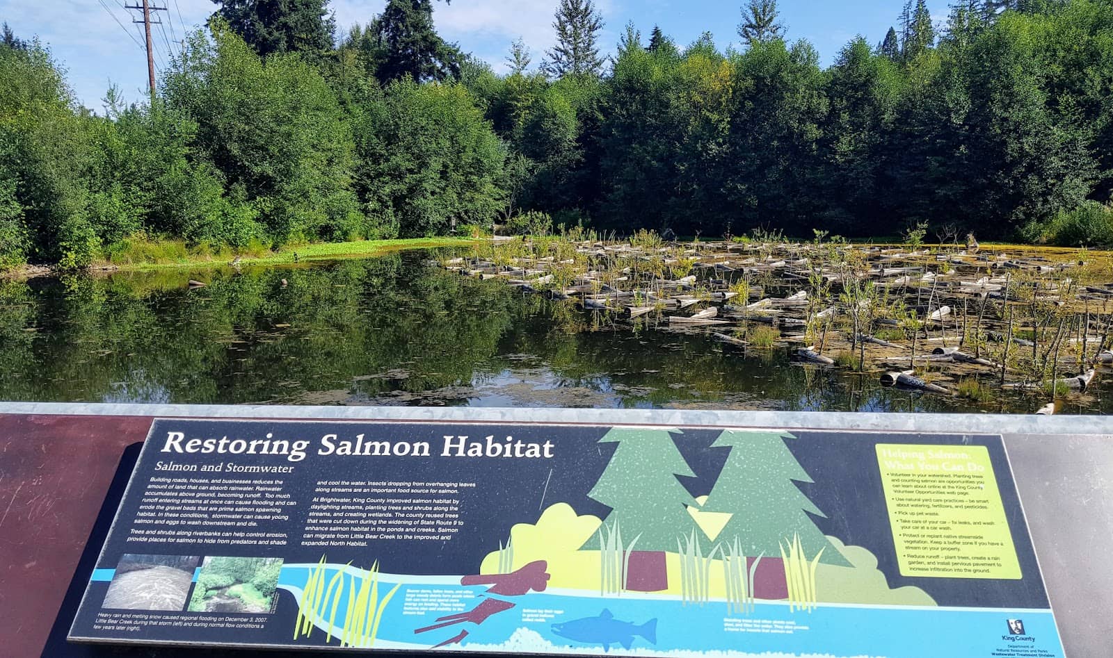 Scenic Walking Paths