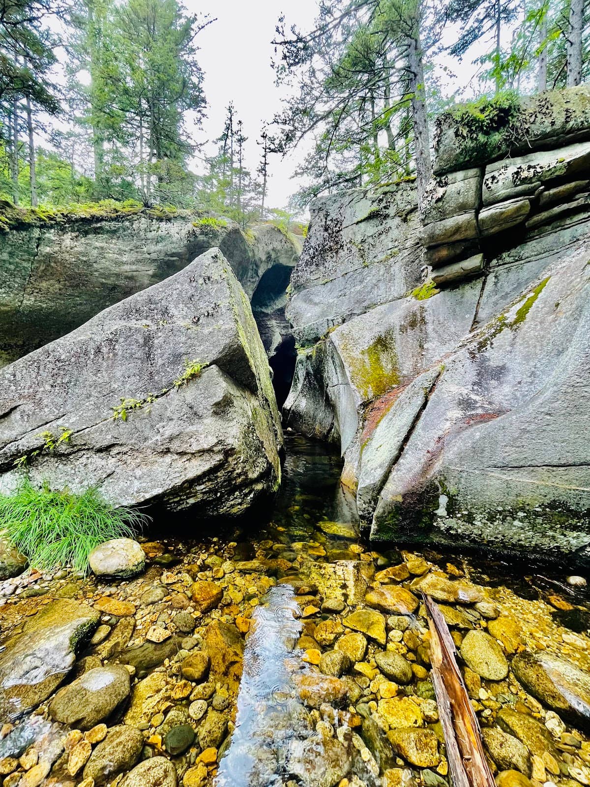 Vertical photo
