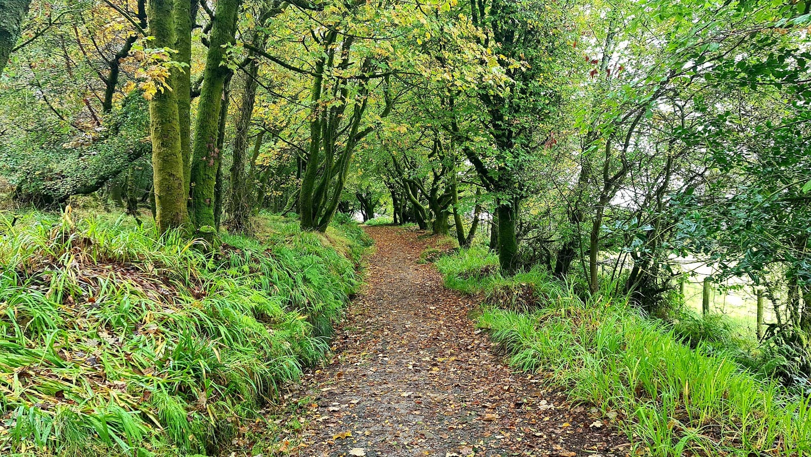 Bogany Point - Image 1