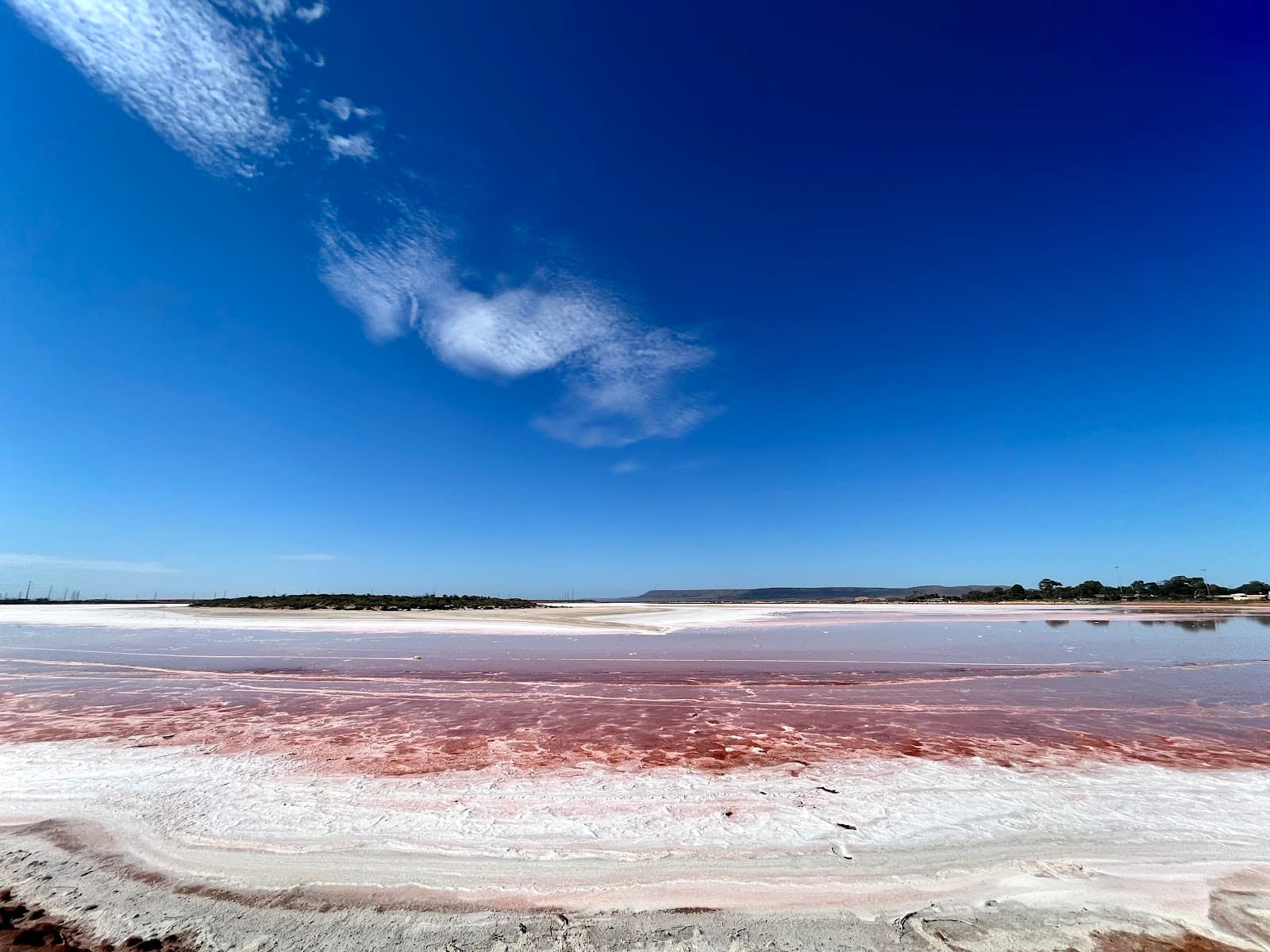 Bird Lake (Westside Lagoon) - Image 1