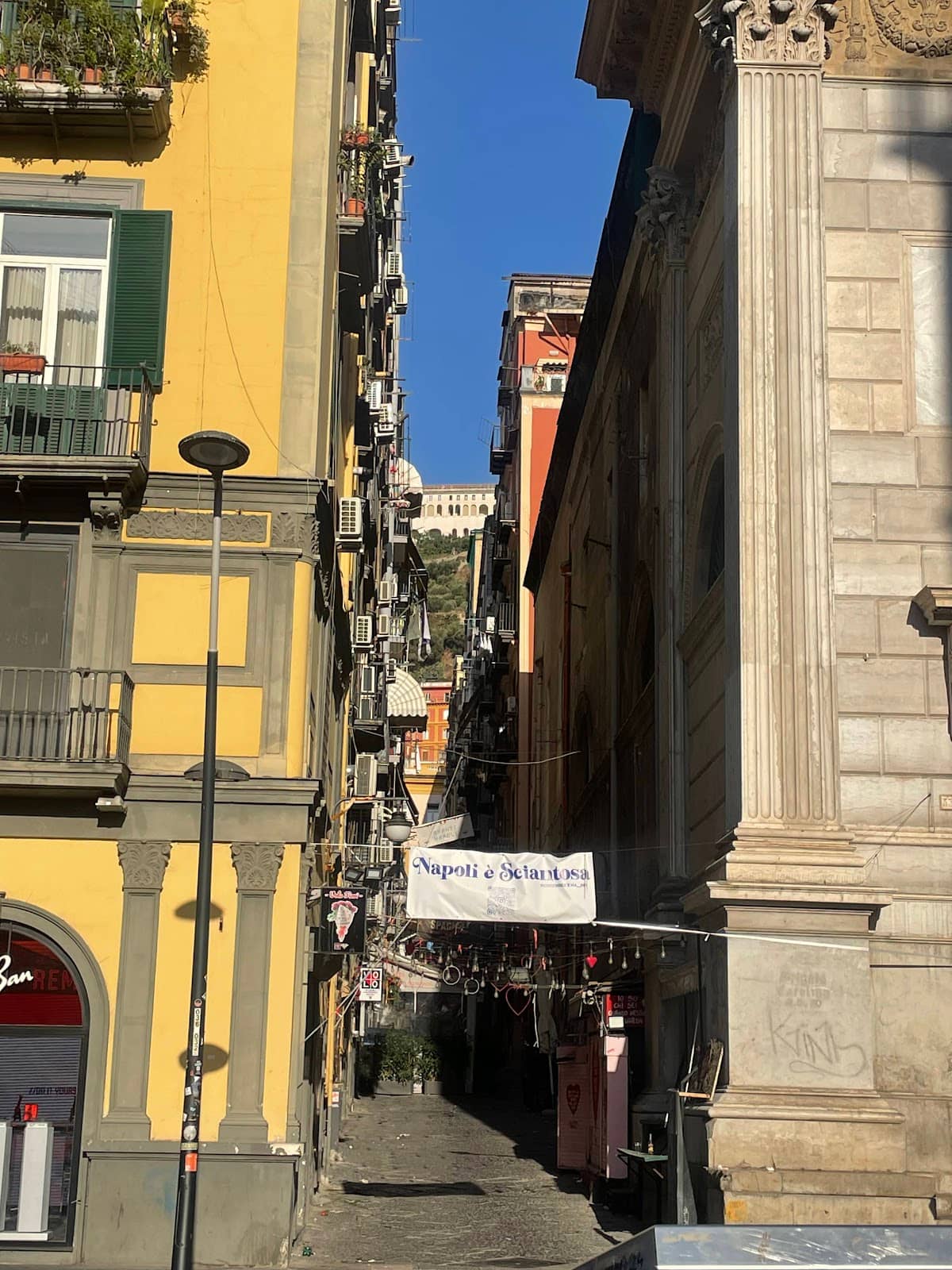 Vertical photo