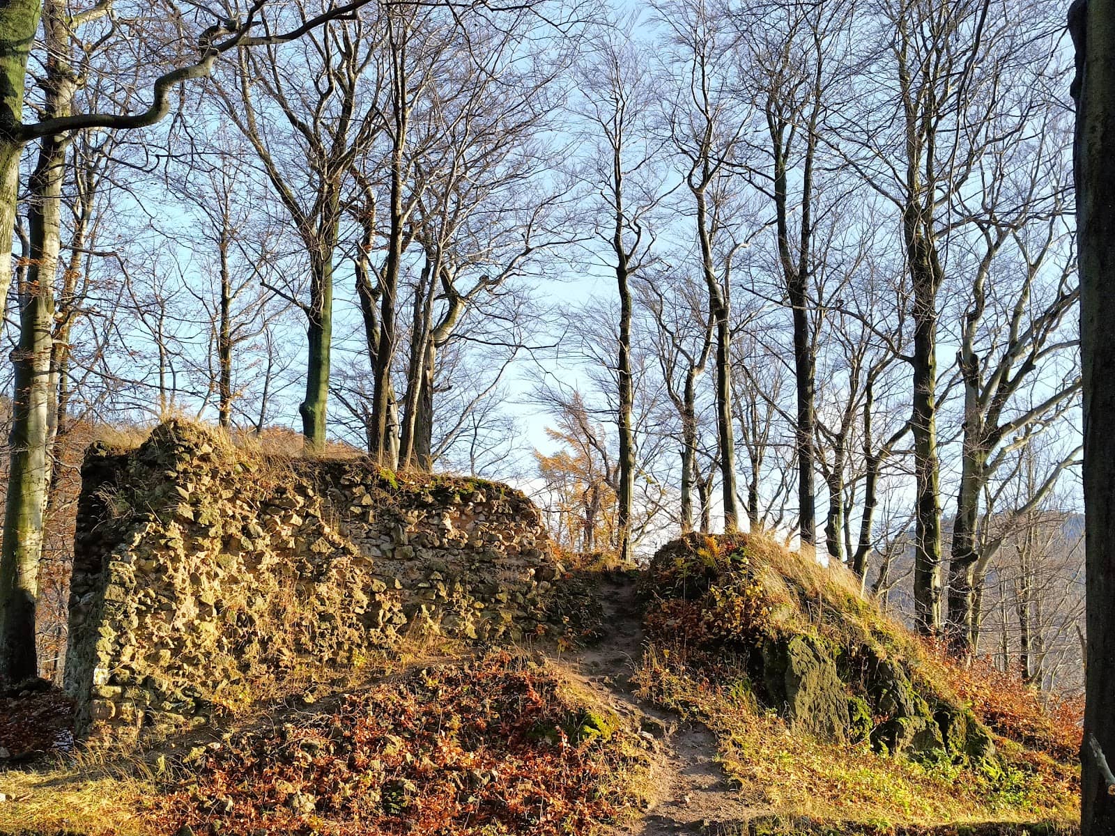 Panoramic Hilltop Views