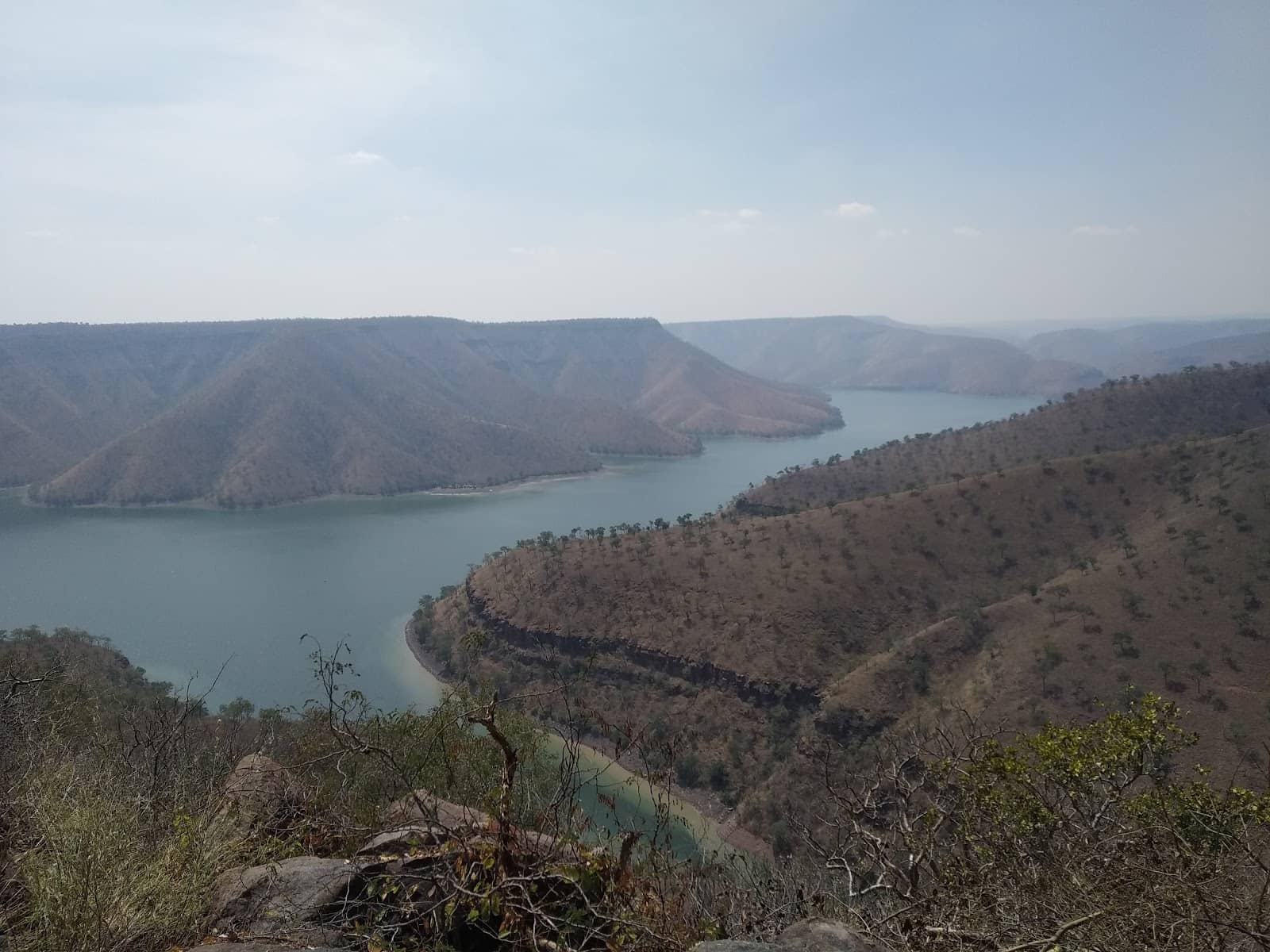 Nallamala Tiger Reserve