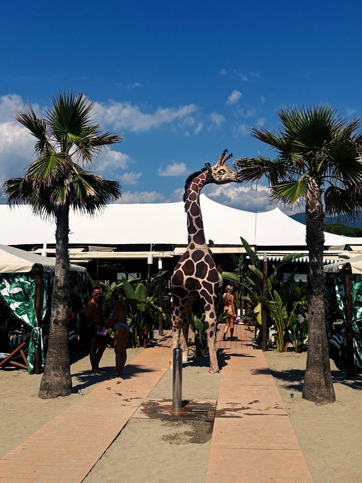 Dolce & Gabbana Collaboration