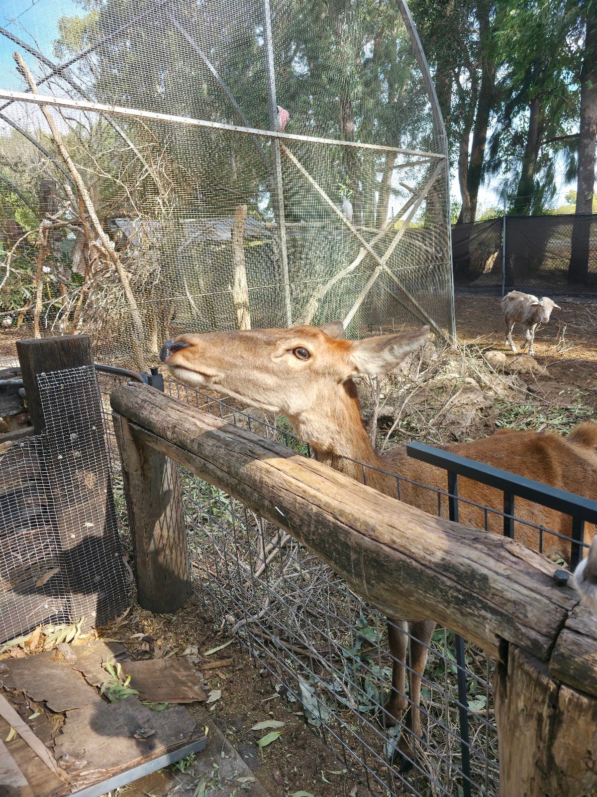 Ranger Red's Zoo & Conservation Park - Image 1