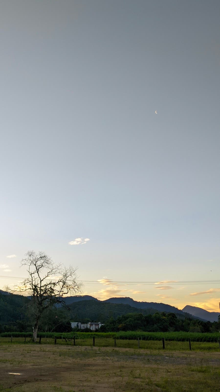 Testo Central - Image 1