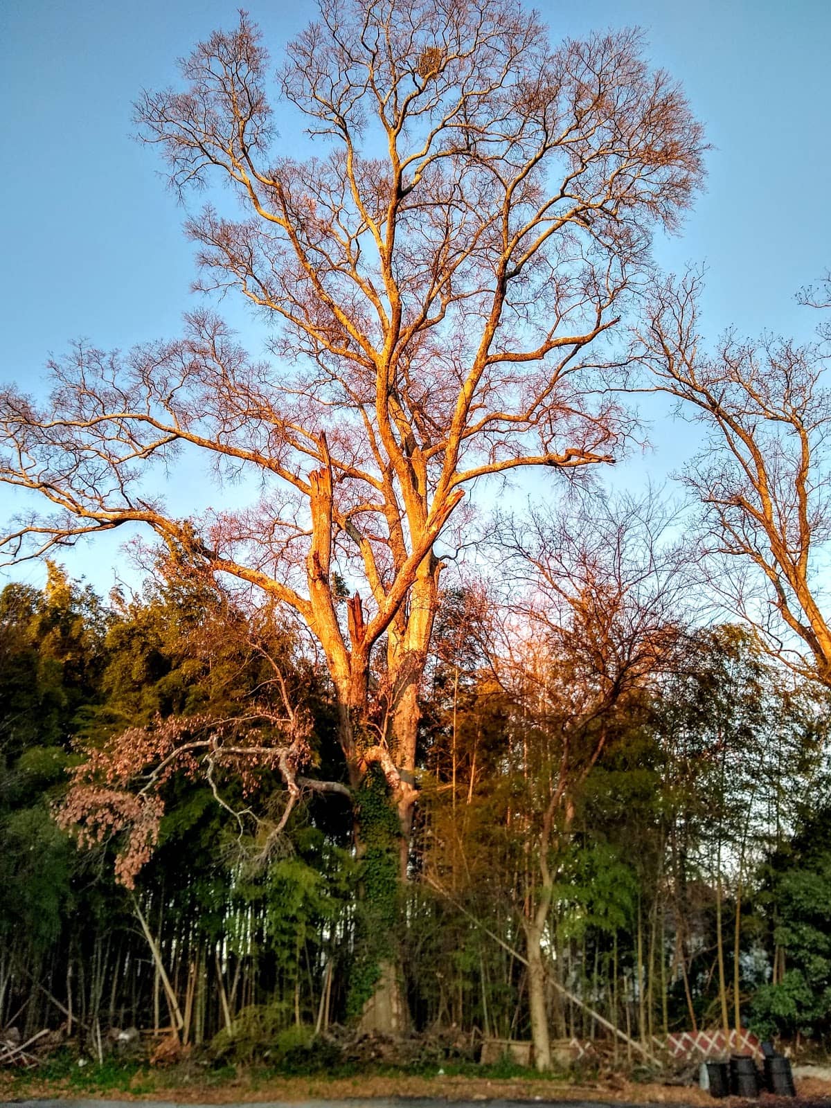 Vertical photo