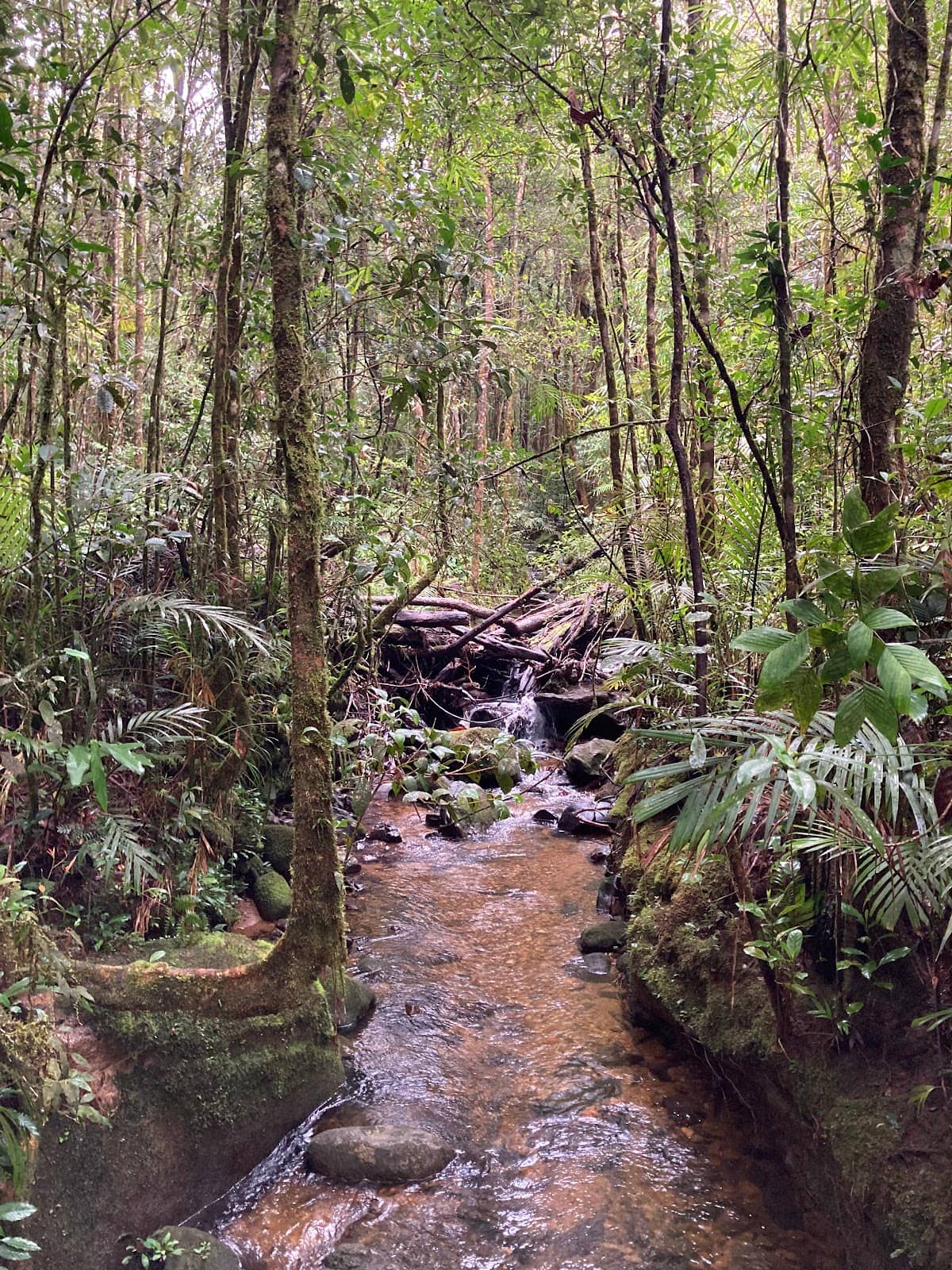 Abundant Flora & Fauna