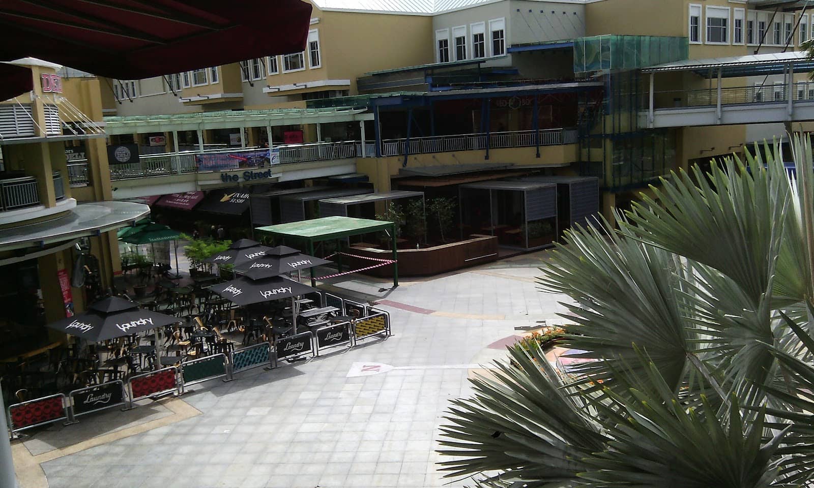 Halal-Friendly Wagyu