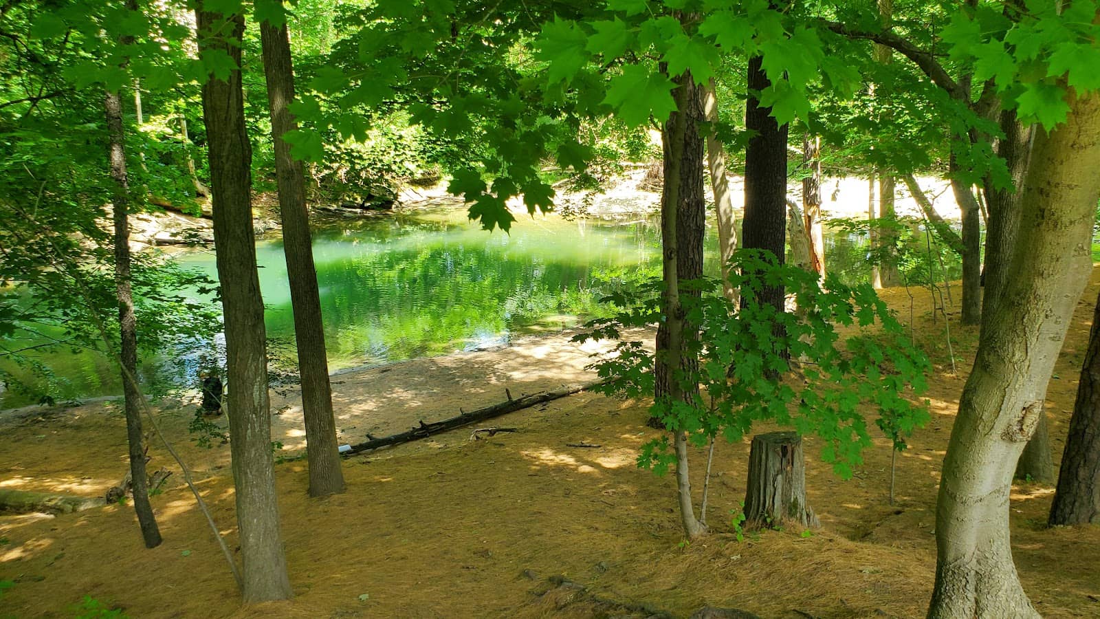 Kid-Friendly Exploration