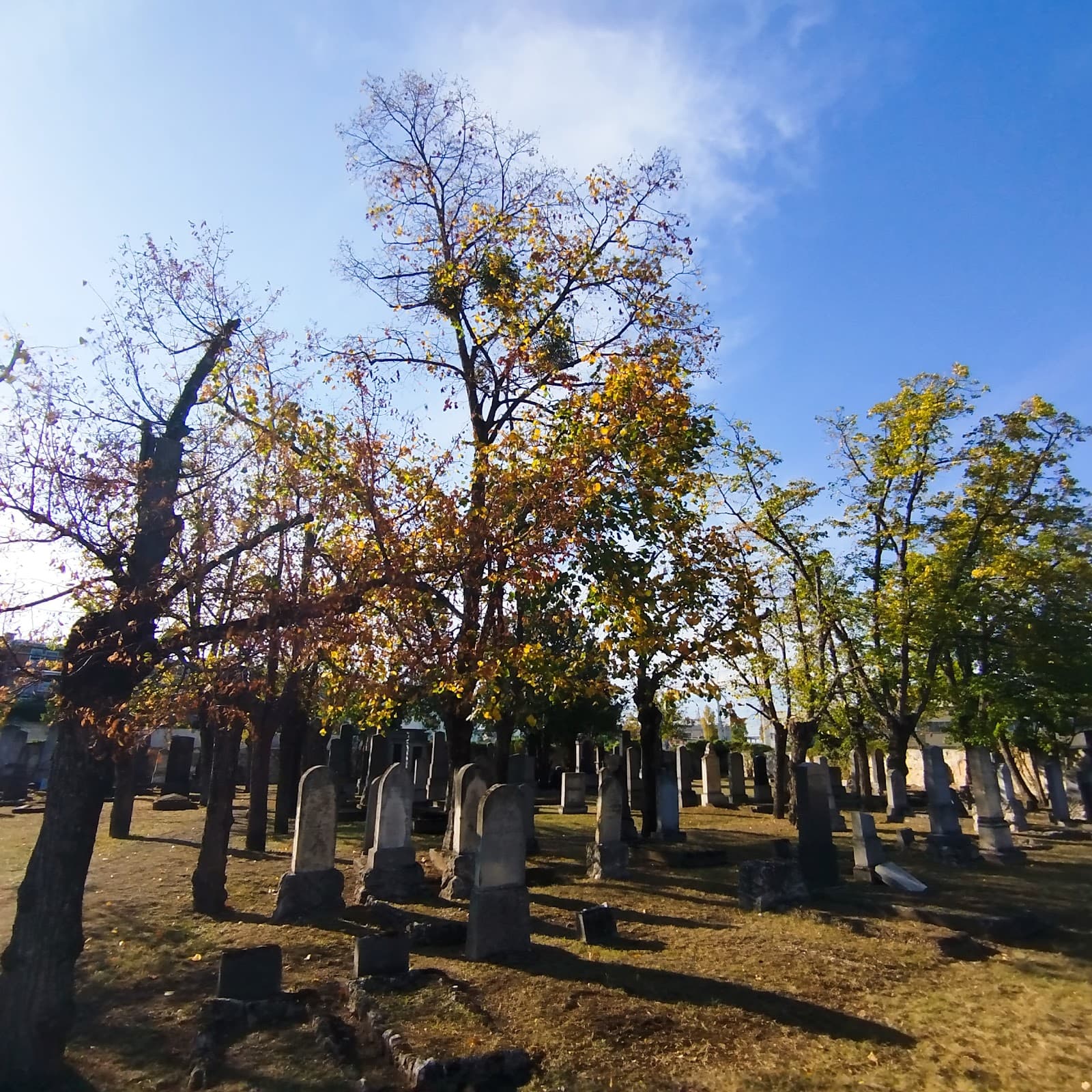 Jewish Cemetery Memorial - Image 1