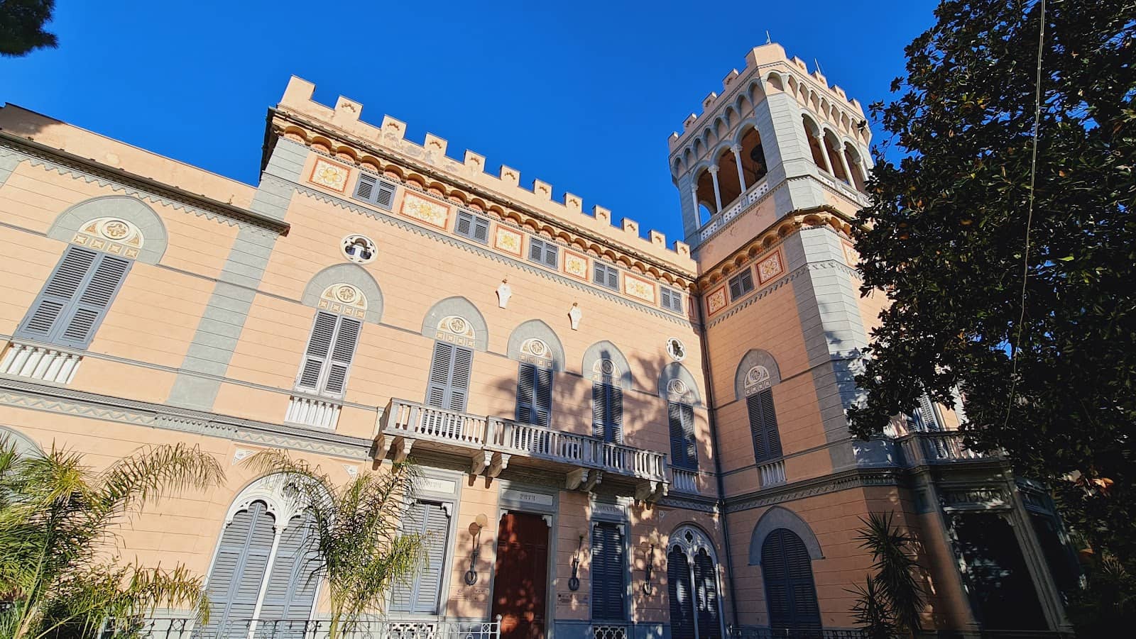 Nature Walks & Picnics