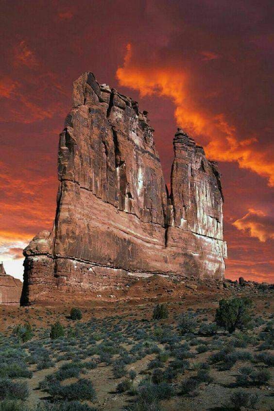 Park Avenue and Courthouse Towers - Image 1
