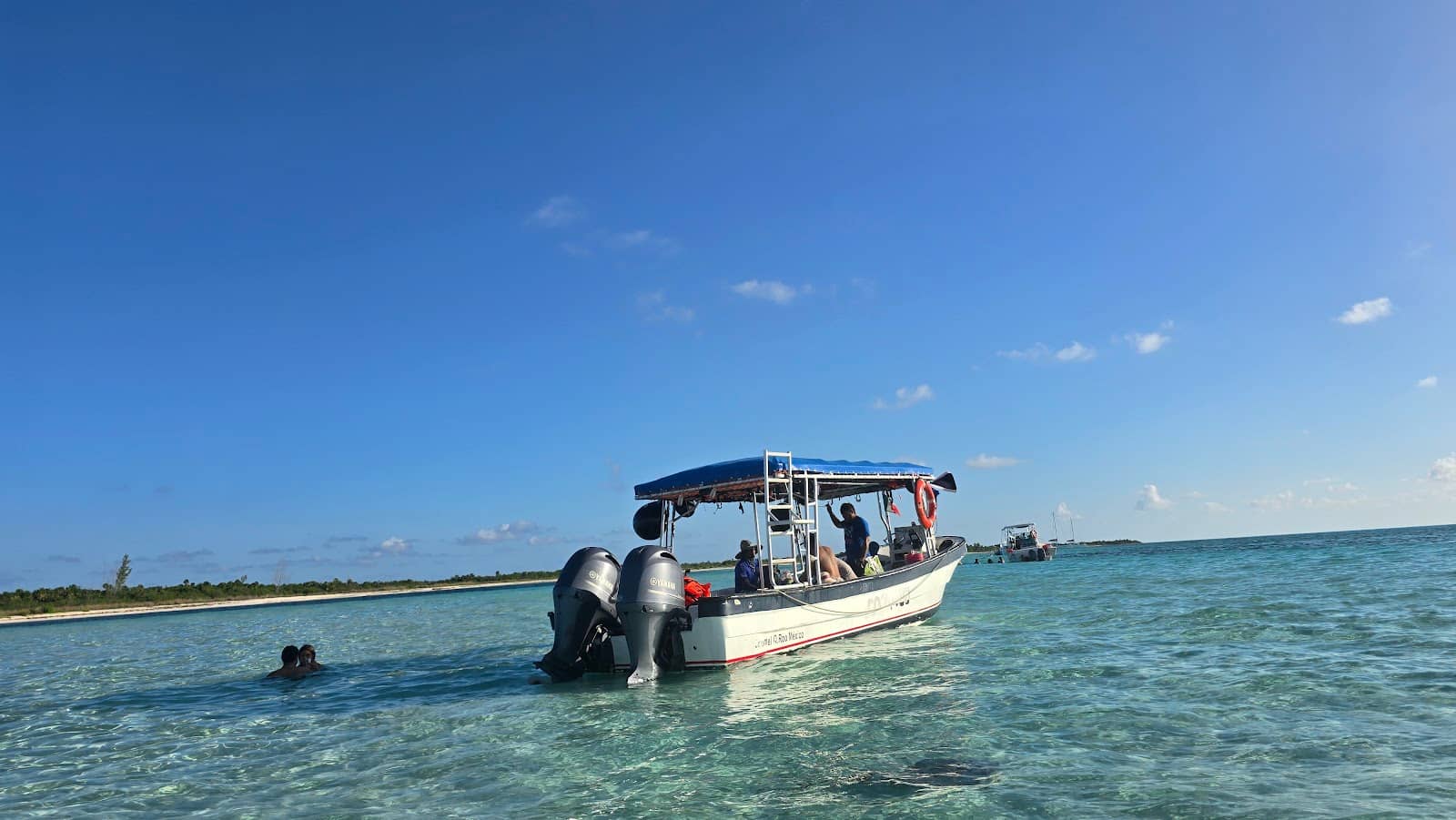Starfish and Stingray Encounters