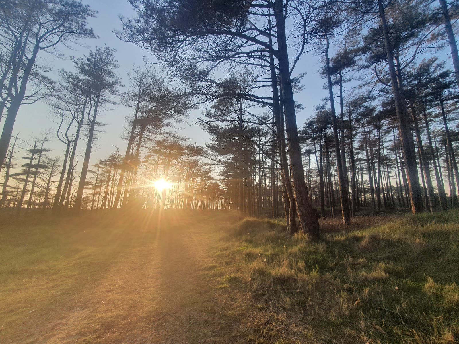 Pembrey Country Park - Image 1