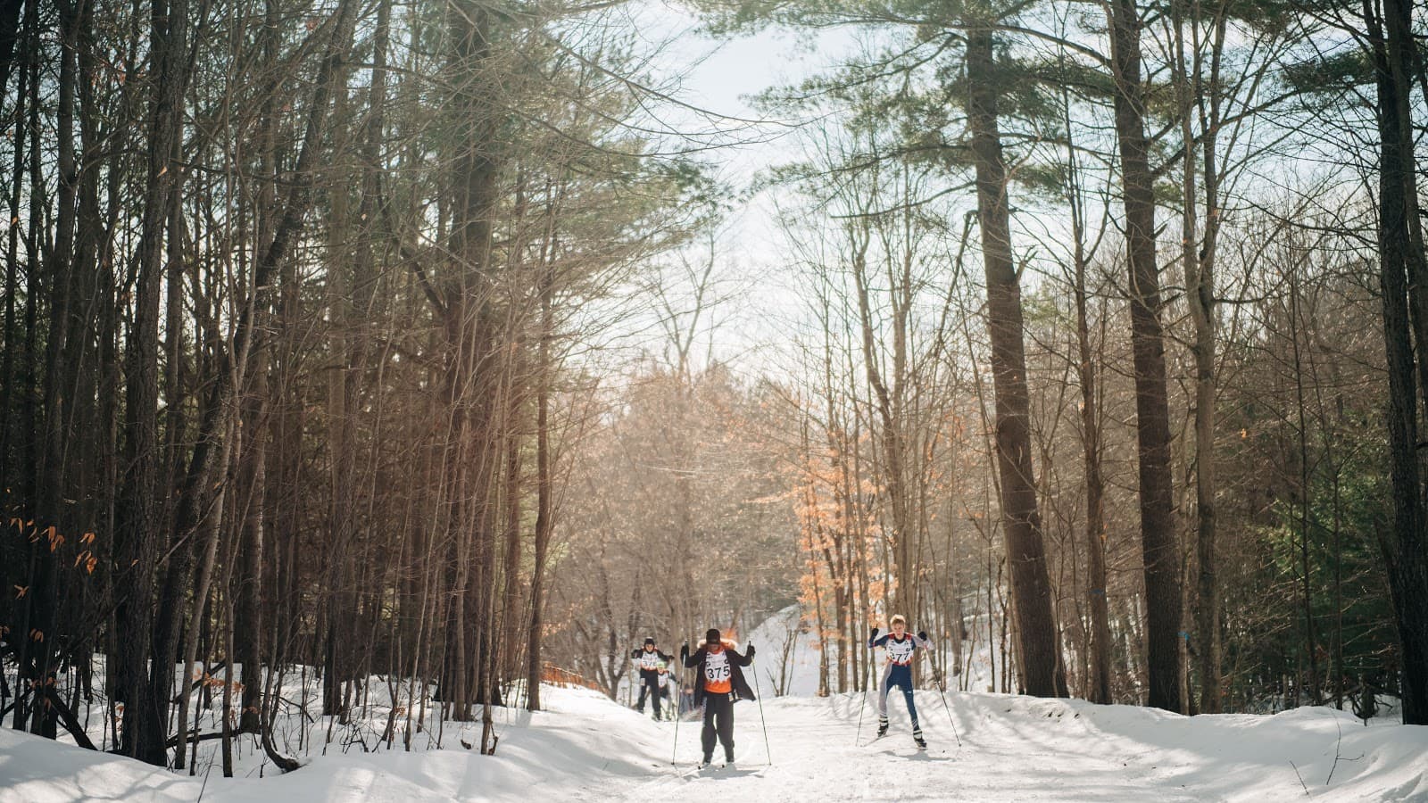 Hardwood Ski and Bike - Image 1