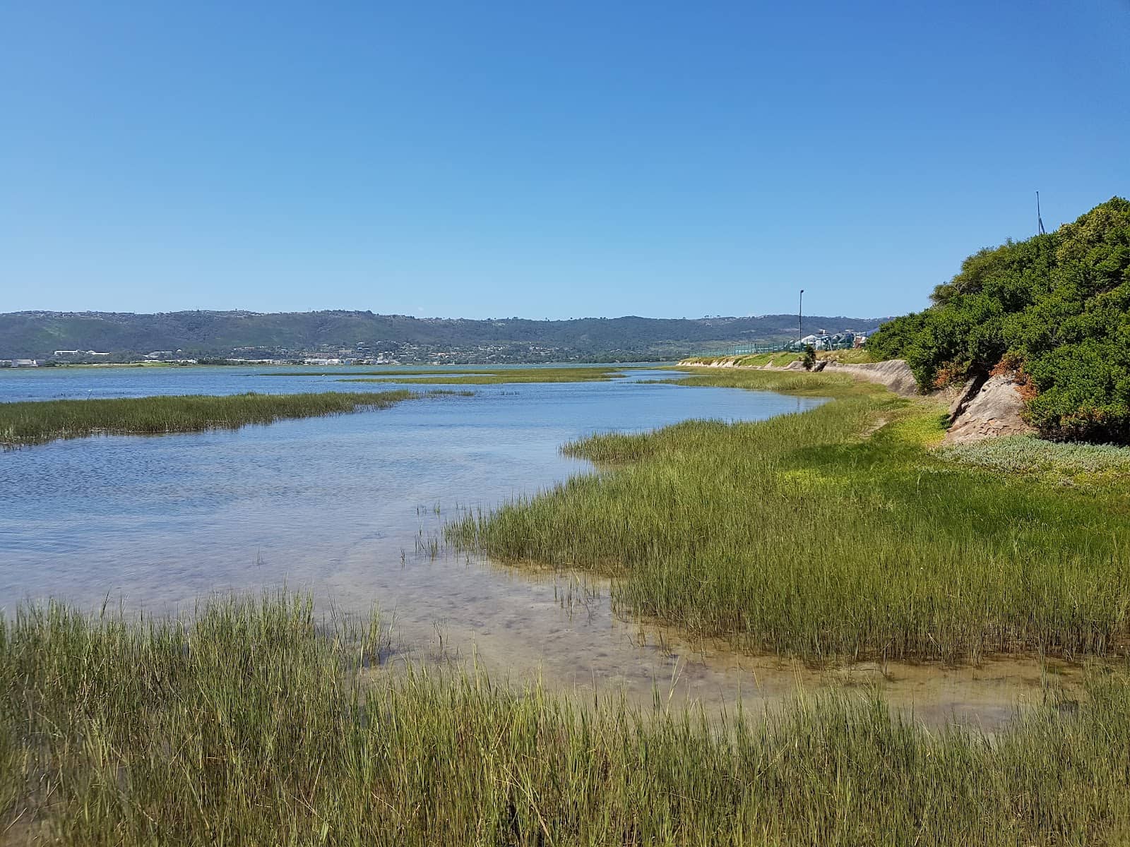 Indigenous Gardens & Birdlife