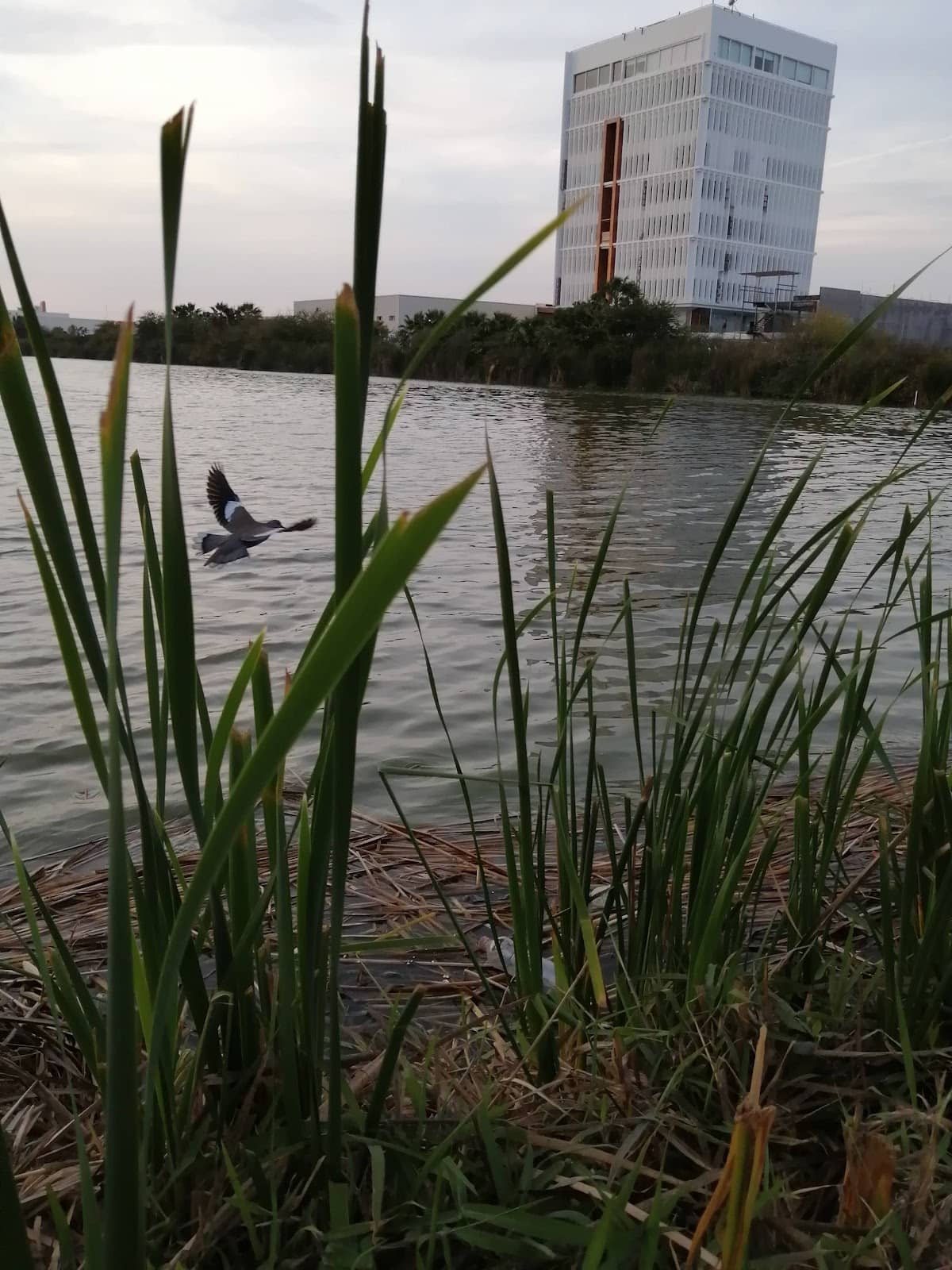 Vertical photo