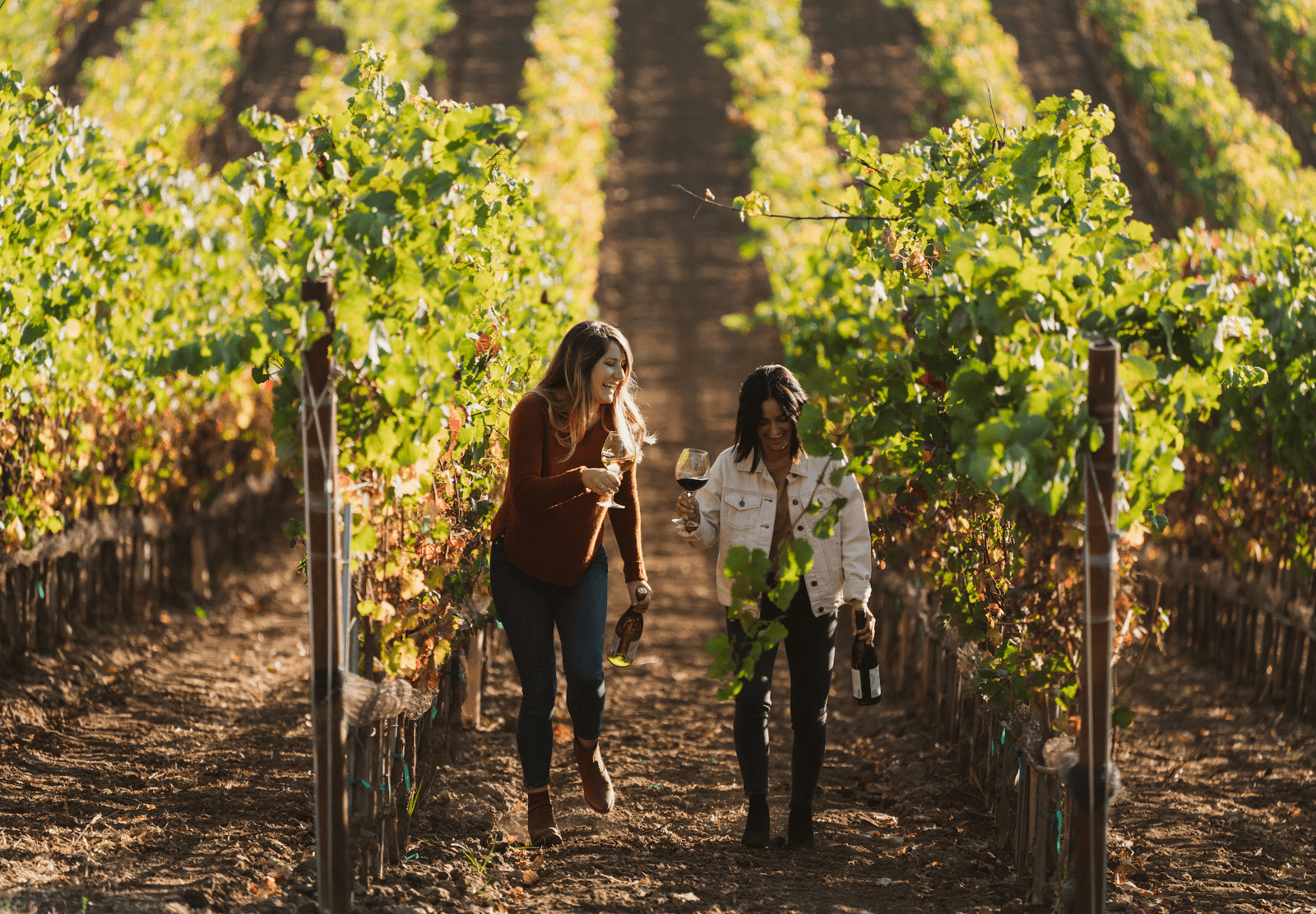 Scenic Tasting Experience