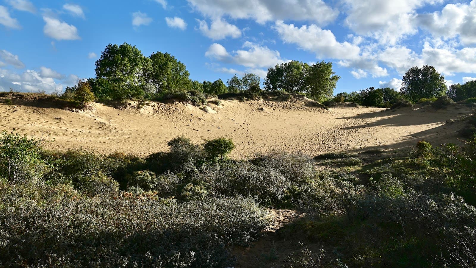De Doornpanne Nature Reserve - Image 1