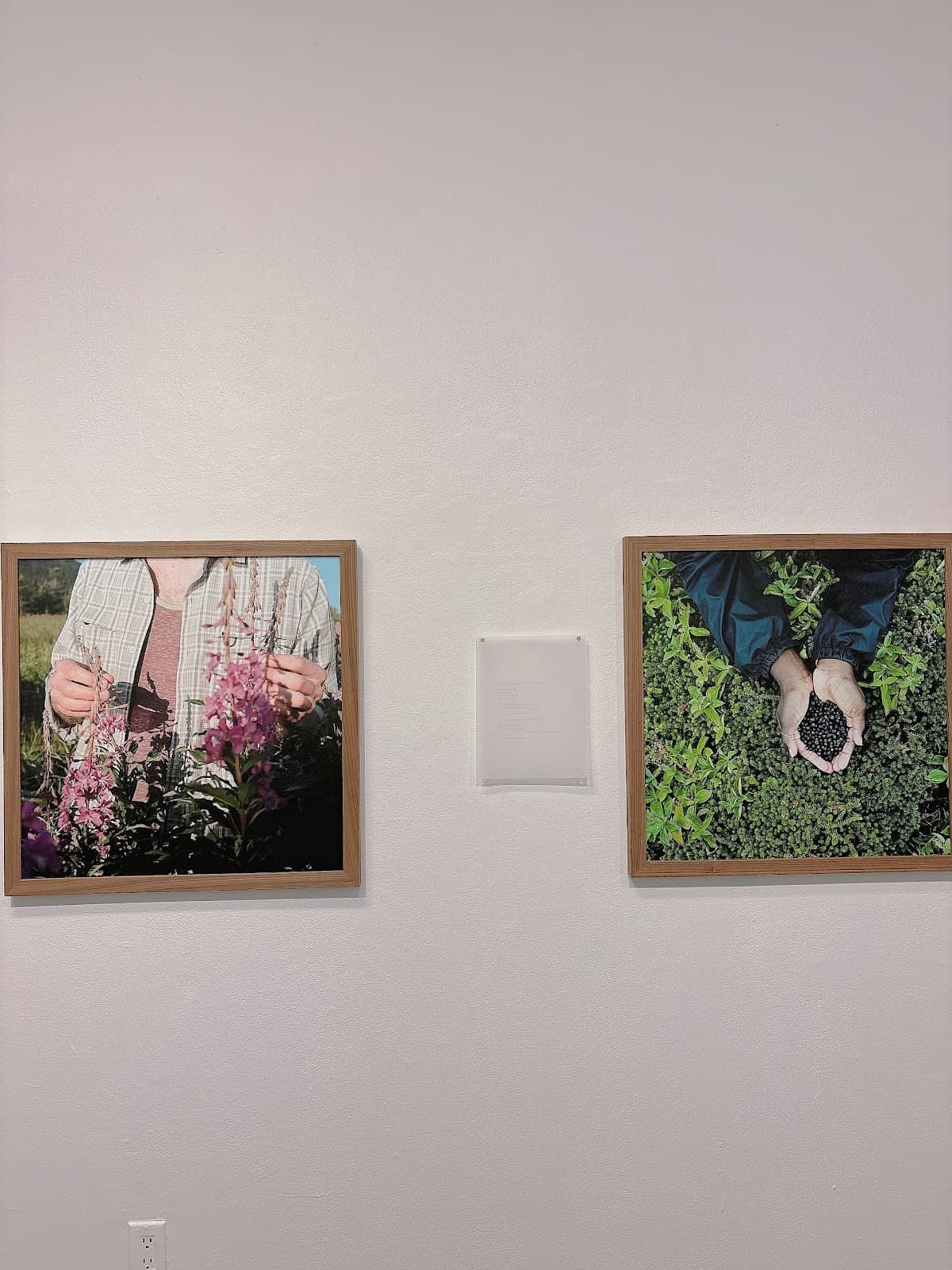 Vertical photo
