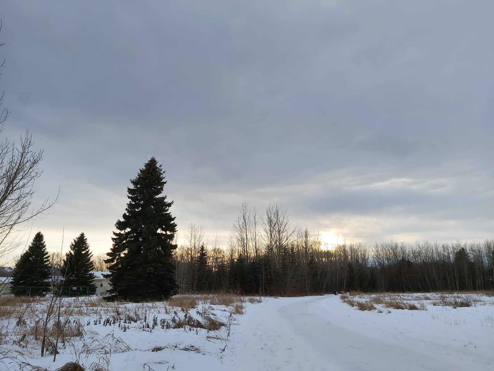 Paved Walking Paths