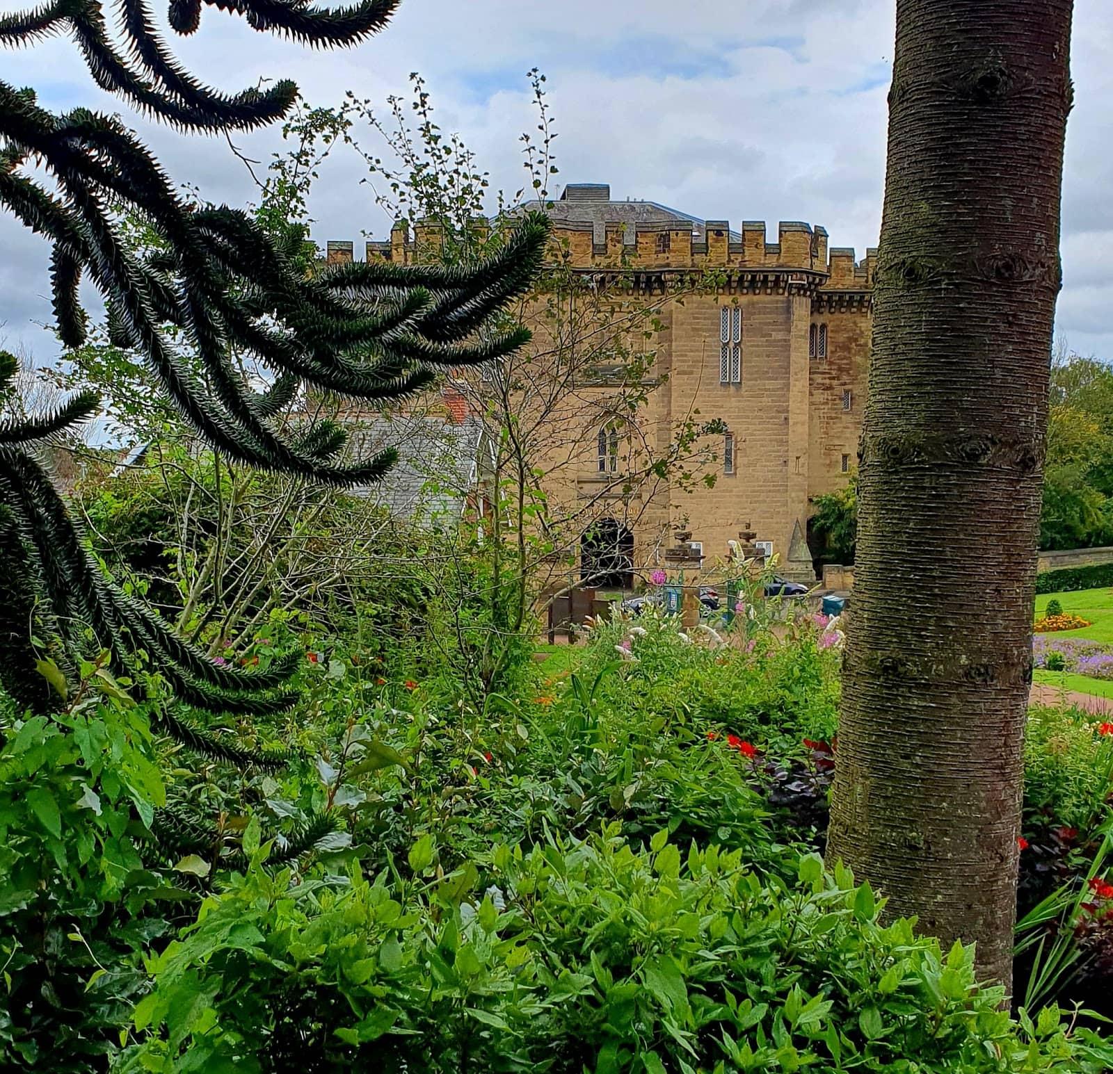 Central Location & Parking