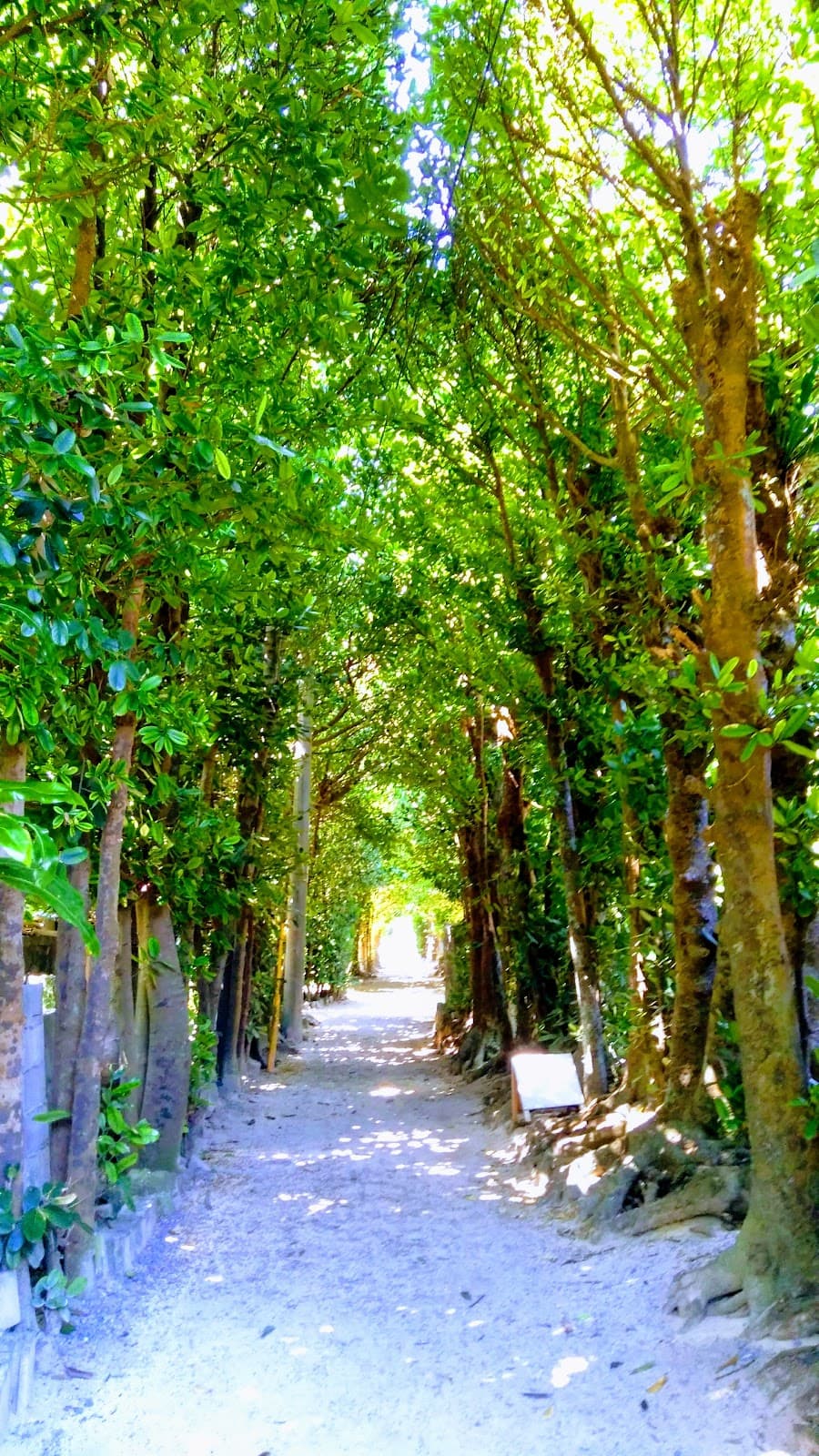 Bise Village - Image 1