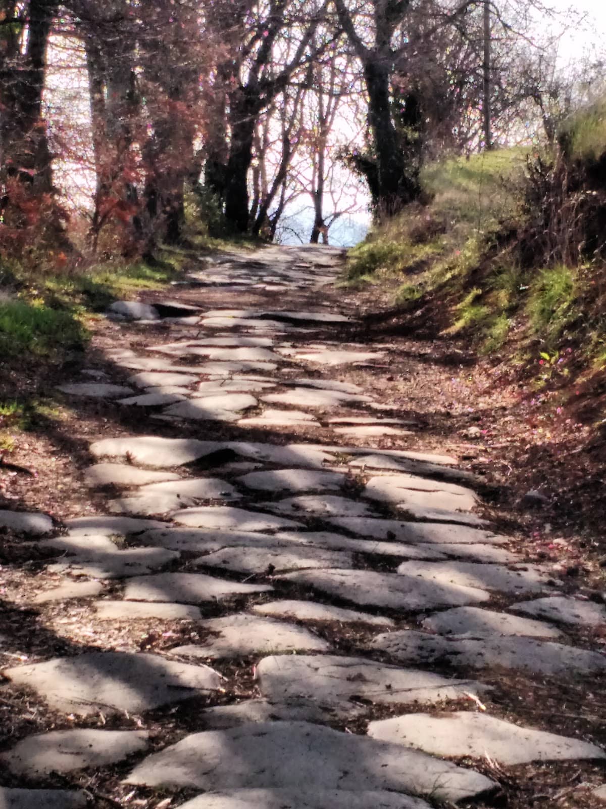 Sutri's Ancient Charm