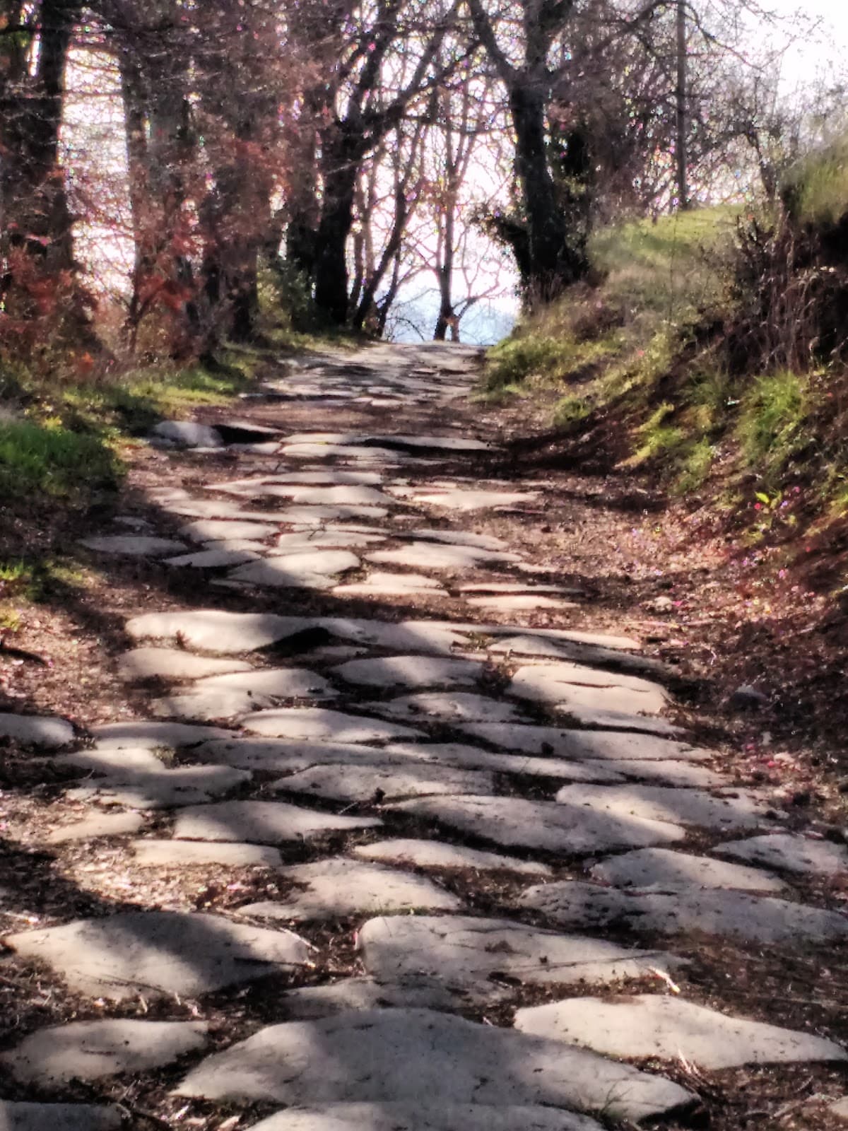 Antica Via Cassia (Roman paving) - Image 1