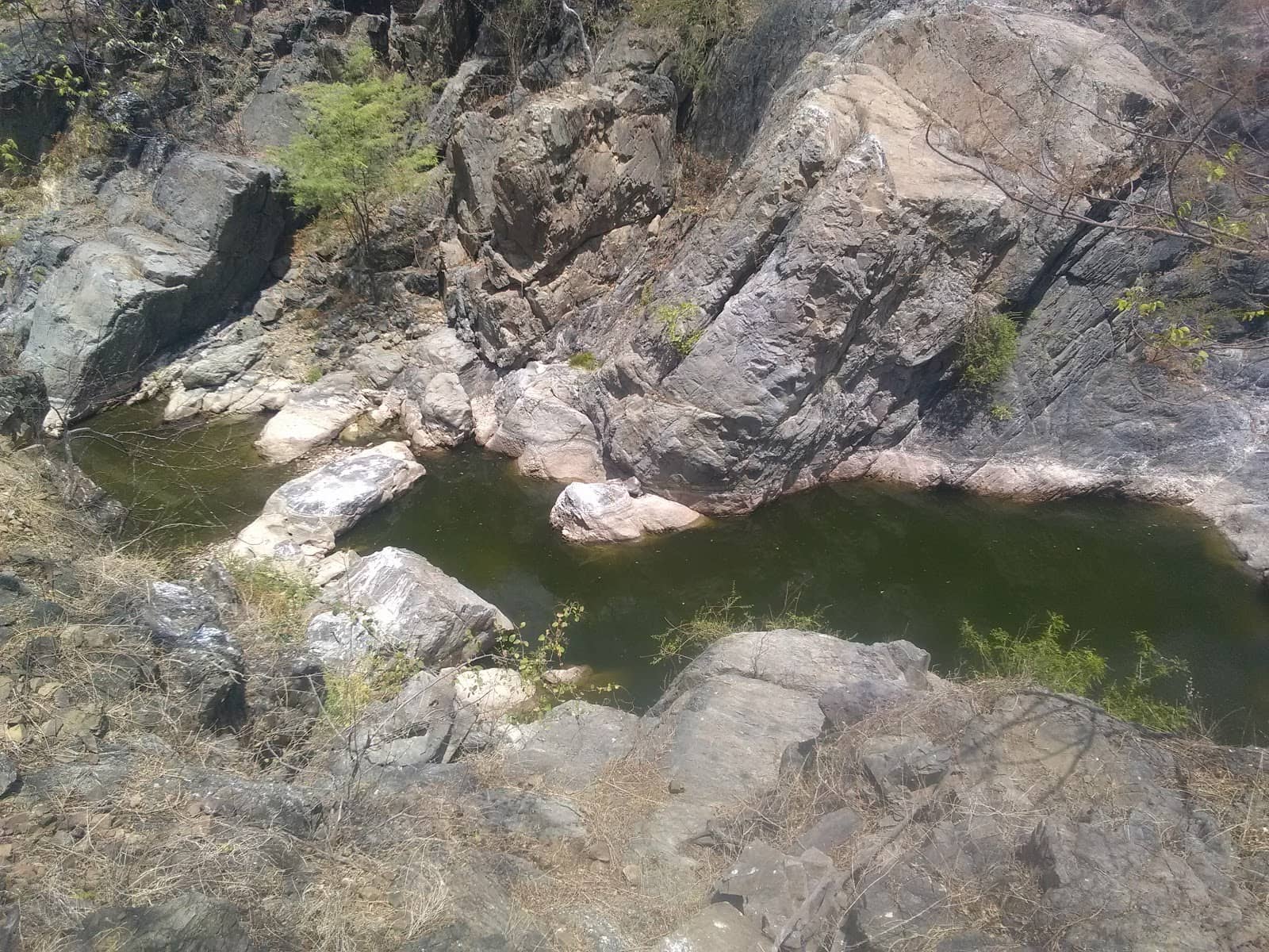 Serene River Excursions