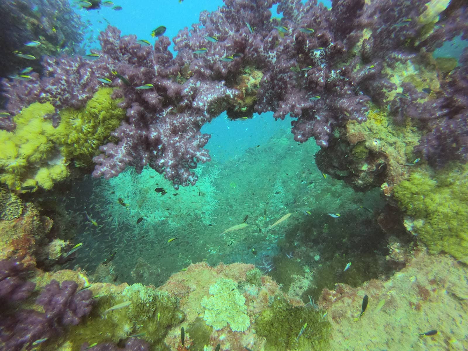 Vertical photo