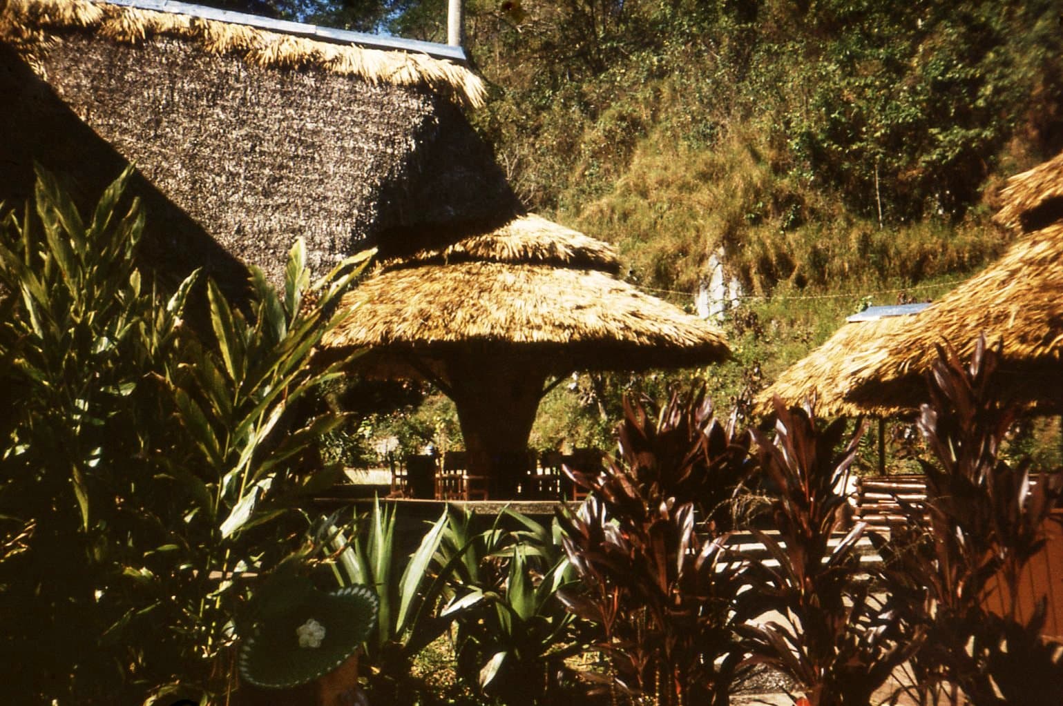 Hanabanilla Lake Cuba - Image 1