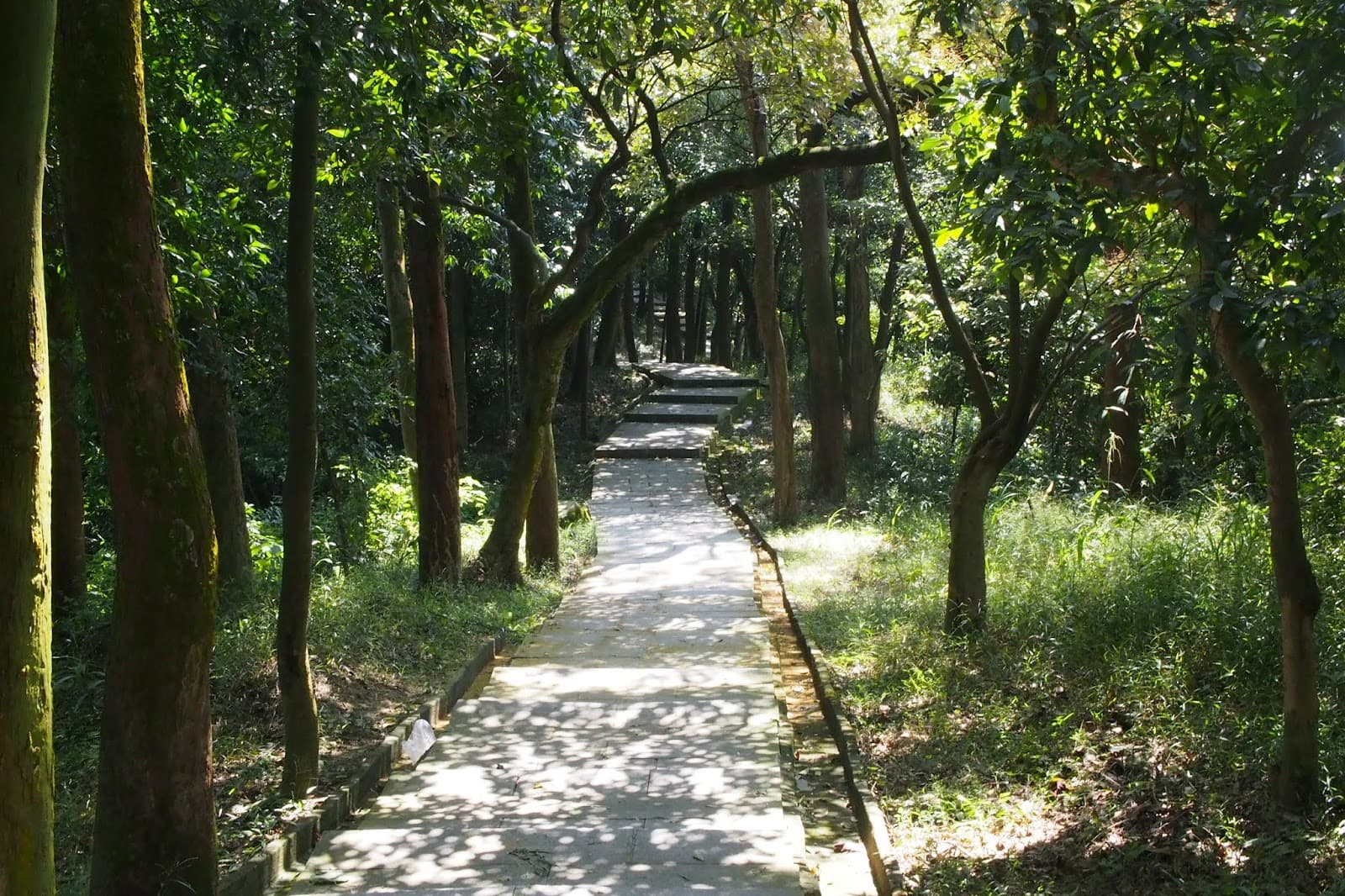 Huangyang Mountain Forest Park - Image 1