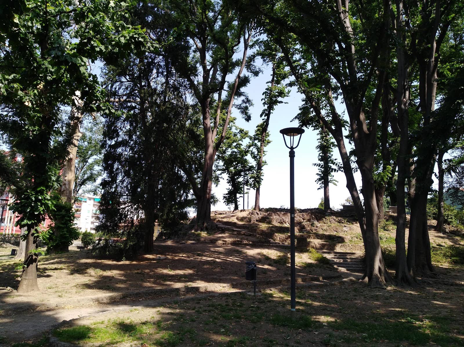 Vertical photo