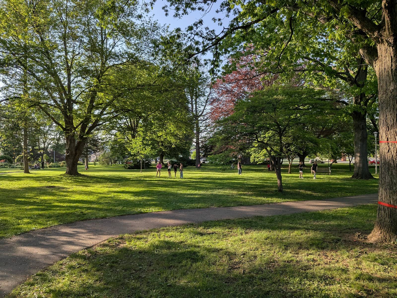 Peaceful Walking Paths