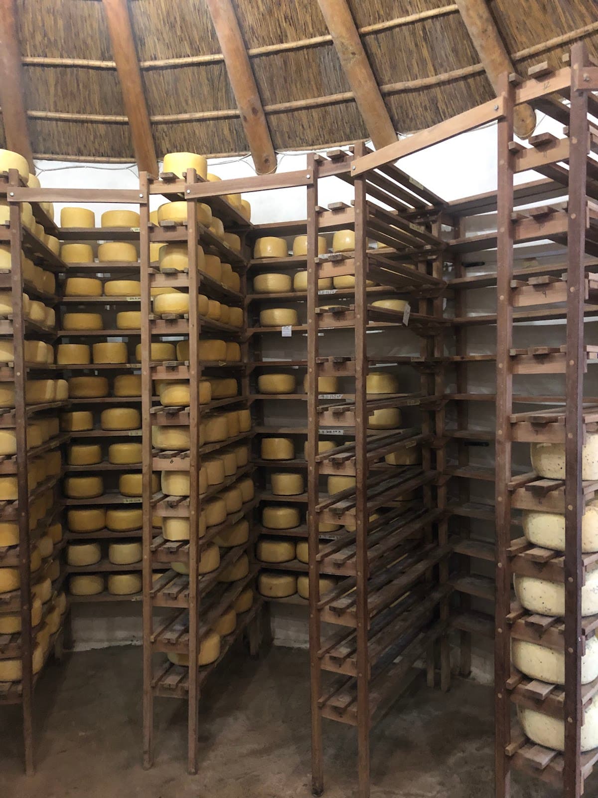 Gay's Guernsey Dairy - Image 1