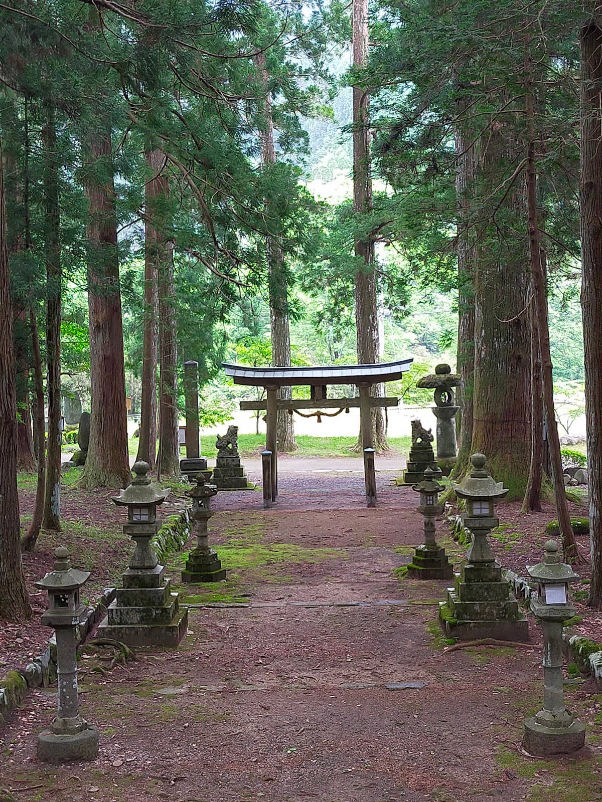 Castle Ruins Exploration