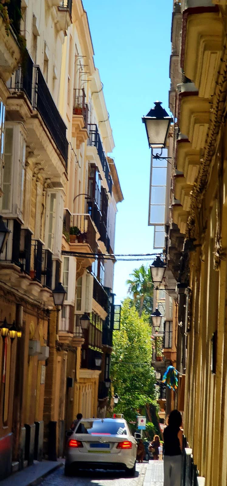 Vertical photo