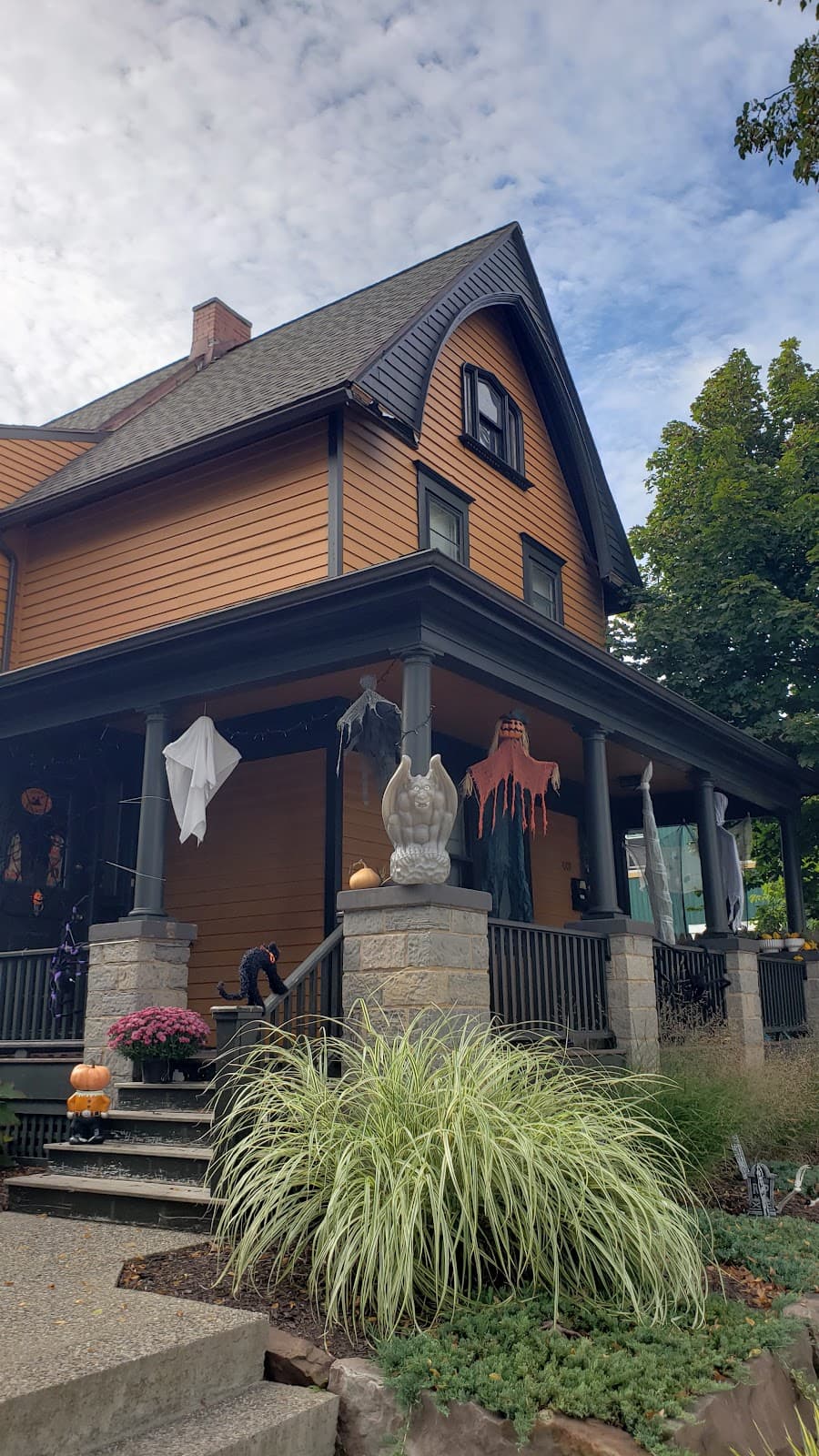 South Wedge Rochester - Image 1