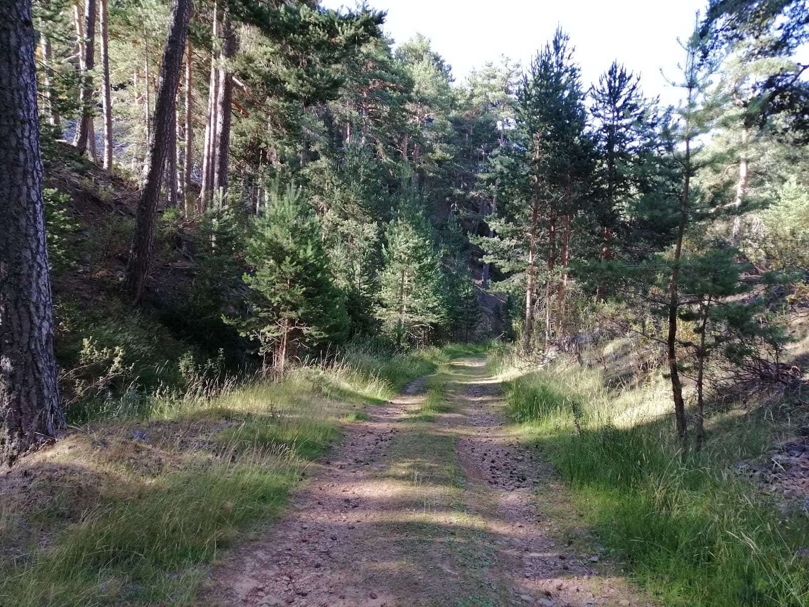 Source of the Tagus River Spain - Image 1