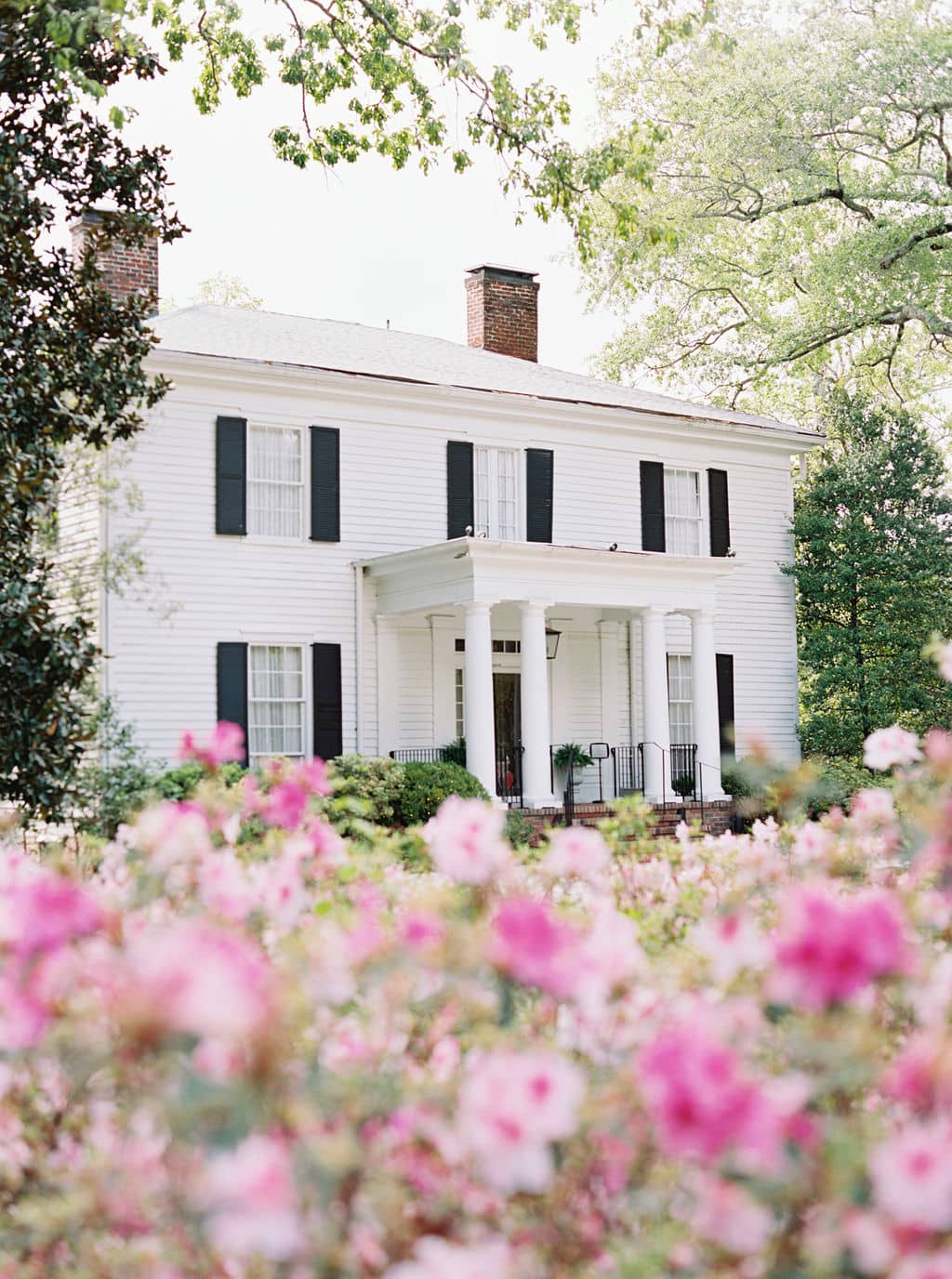 Collaborative Design Team