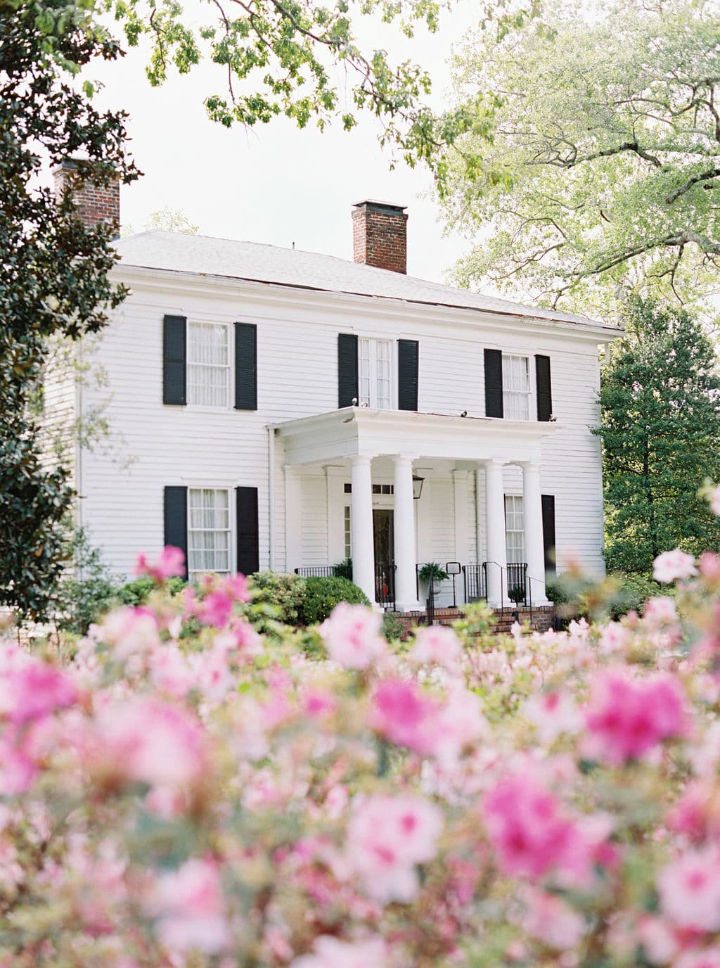 Primrose Cottage - Image 1